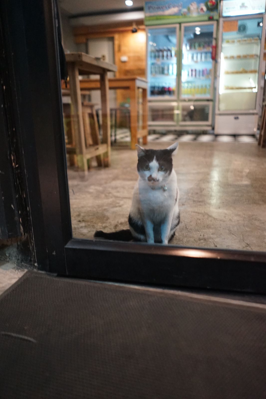 สเต็ก ส.อร่อย hero image 4