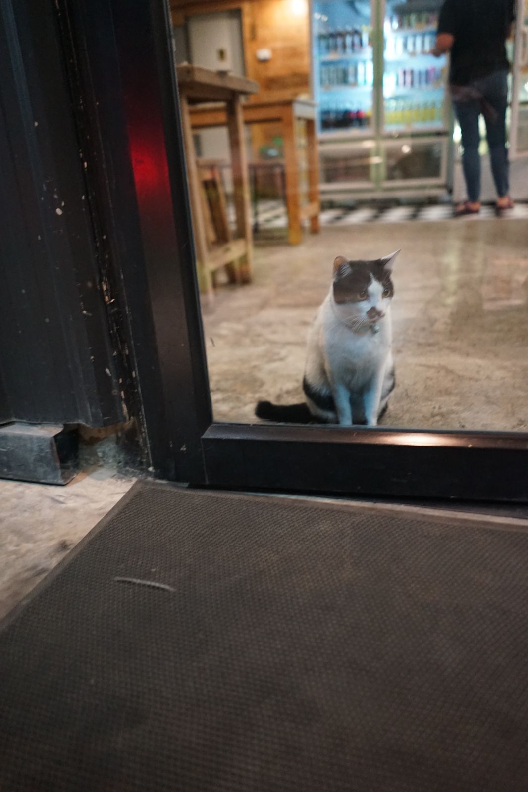 สเต็ก ส.อร่อย pets image 3