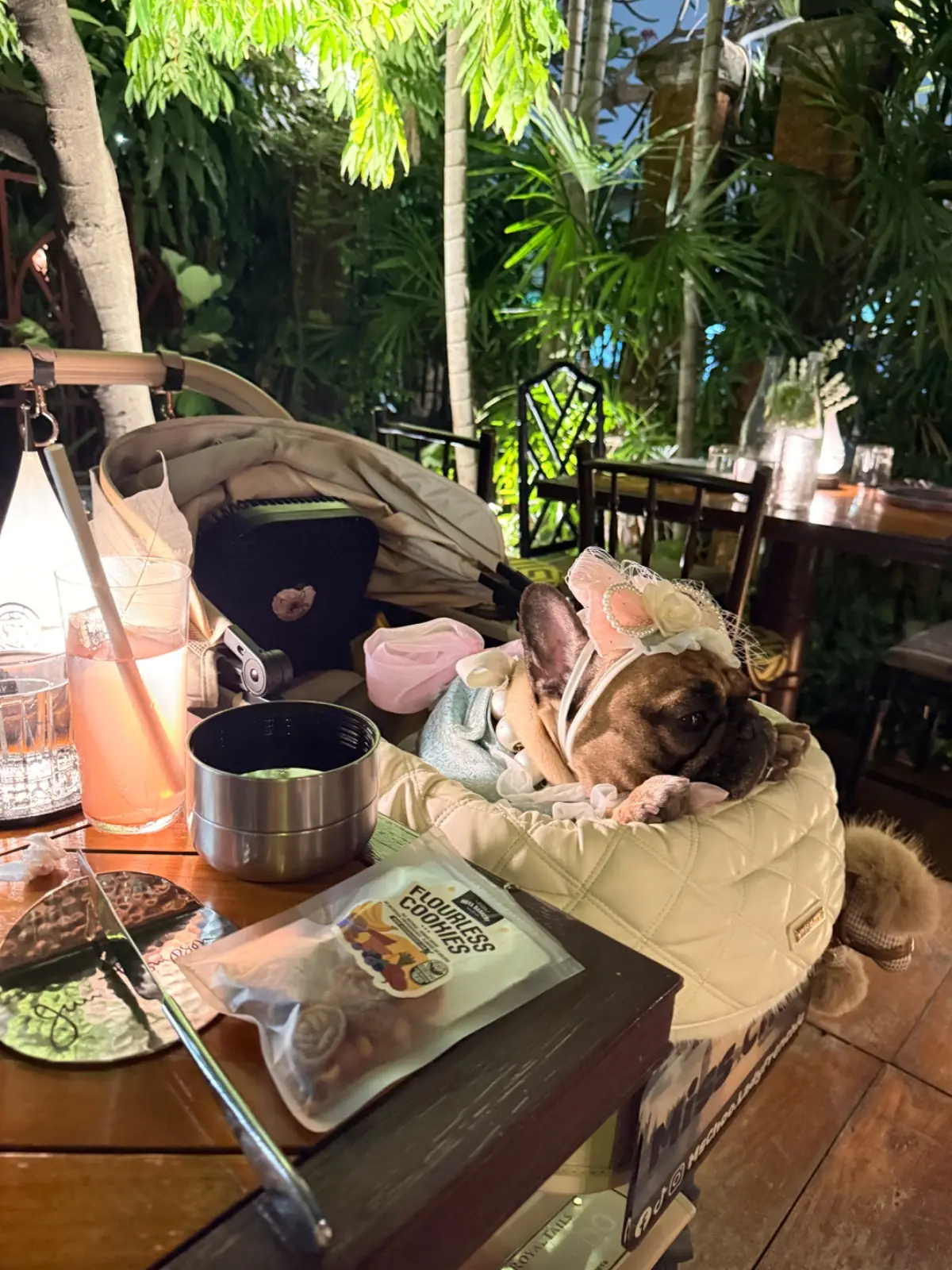 Jim Thompson, A Thai Restaurant pets image 1