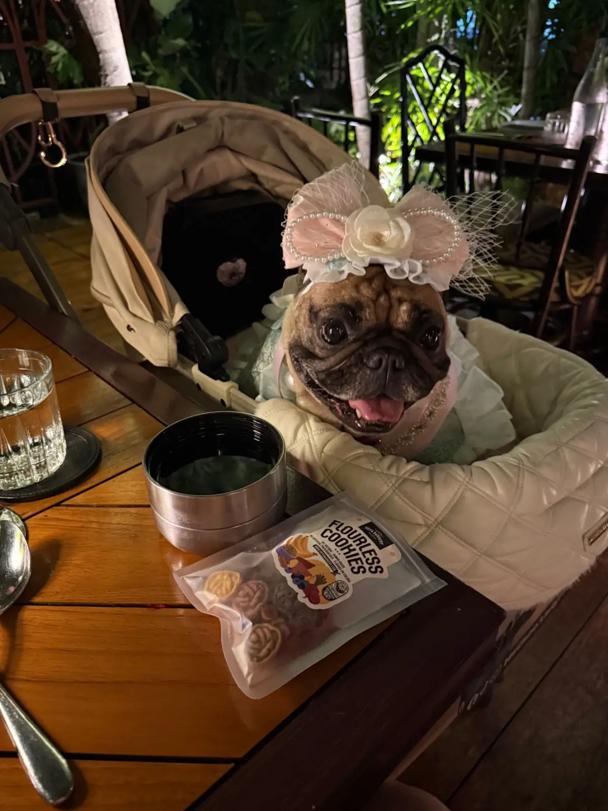 Jim Thompson, A Thai Restaurant pets image 5