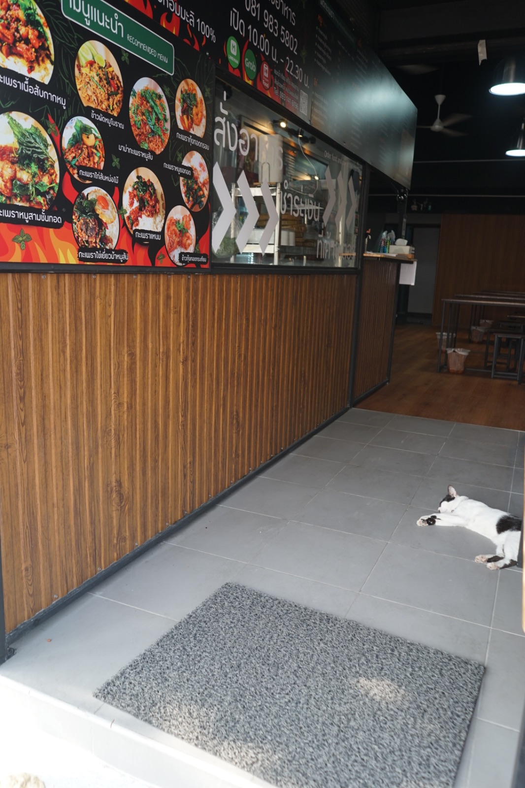 ก็เพราะกะเพรา - นวลจันทร์ pets image 4