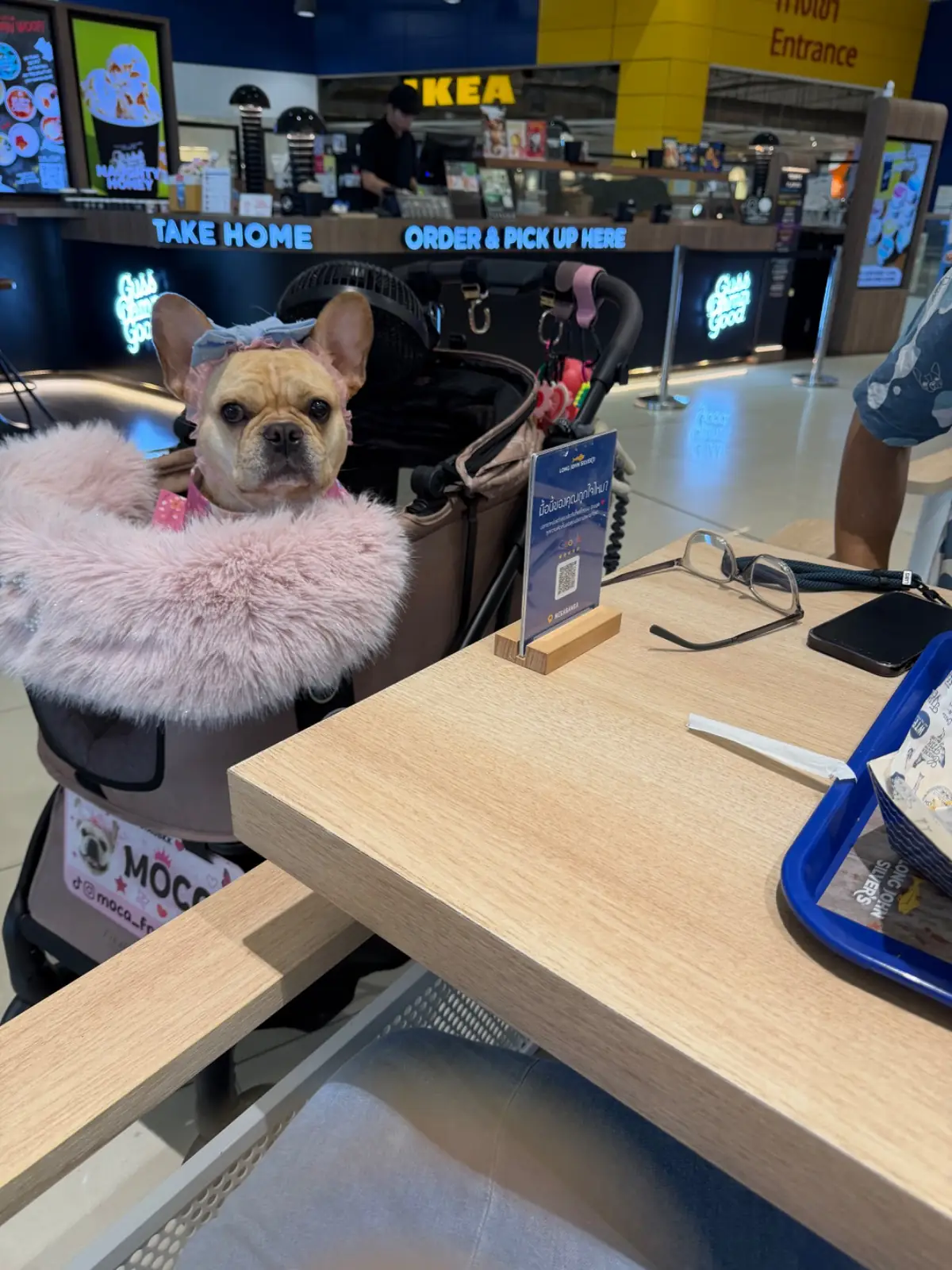 Long John Silver's pets image 3
