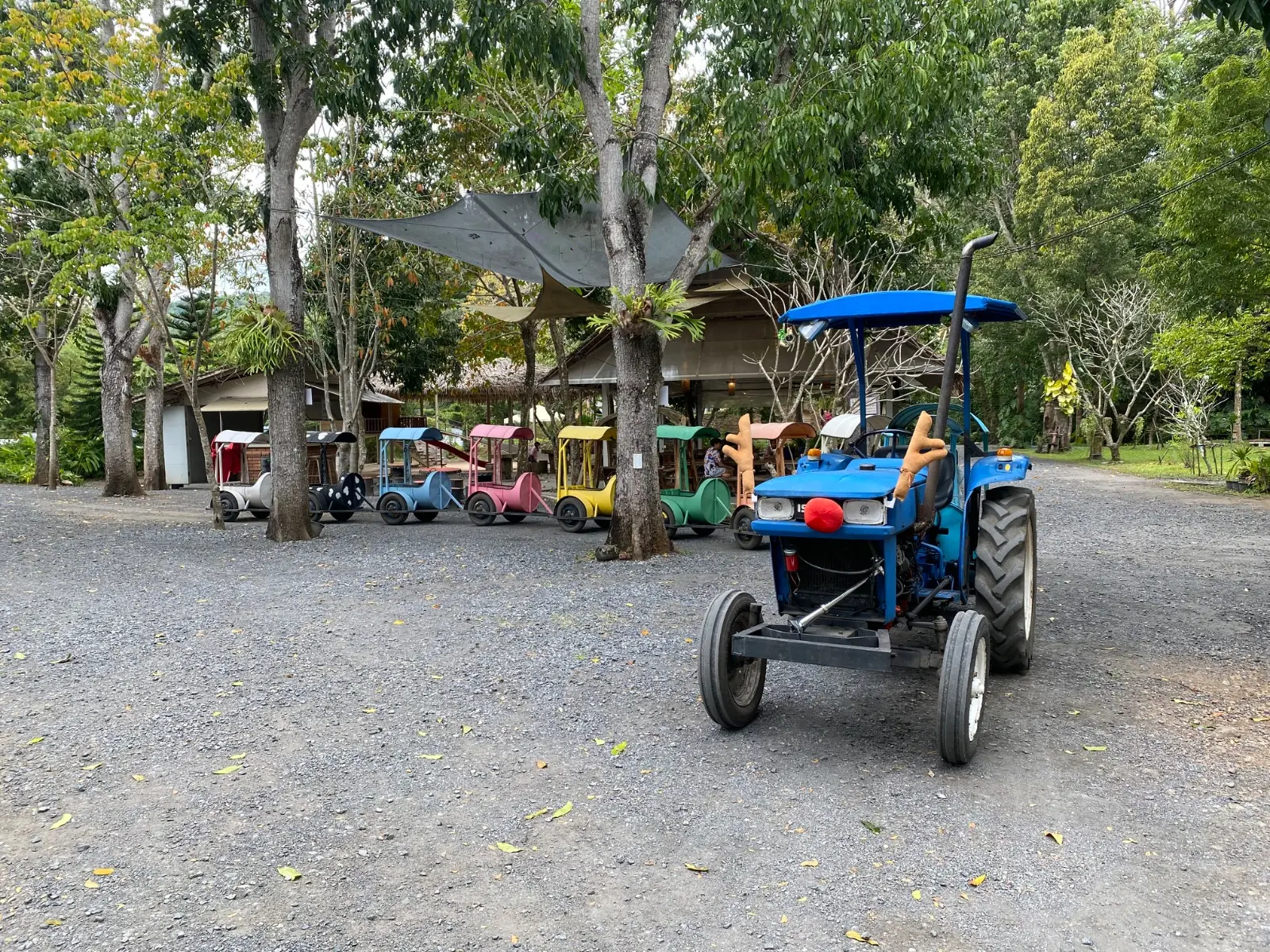Assana Cafe overall image 1