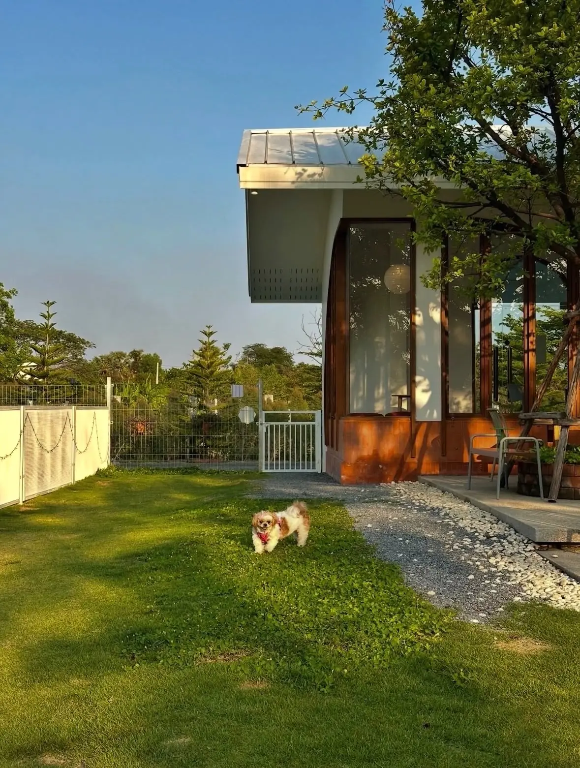 FriedOnion Cafe pets image 2