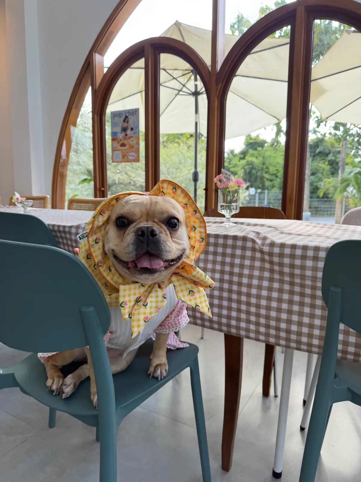 FriedOnion cafe pets image 6