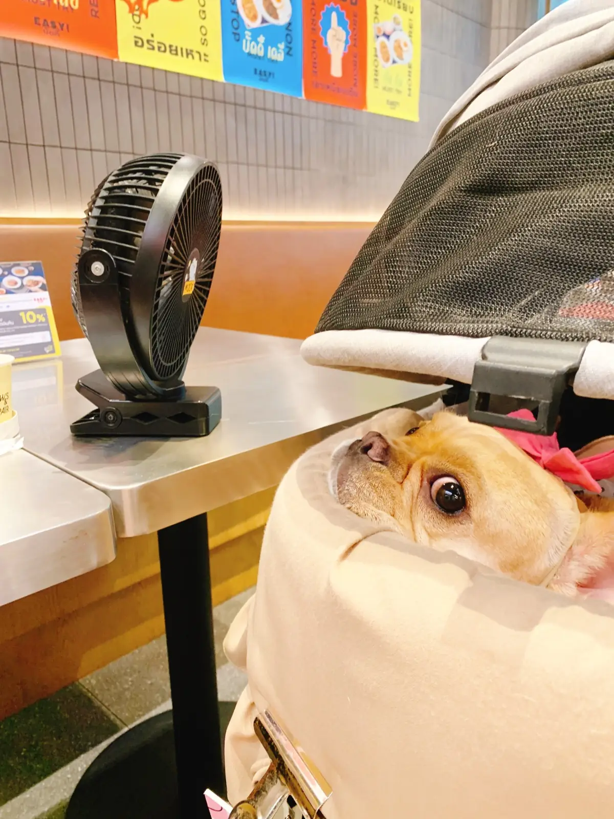 EASY! buddy - Mega Bangna other image 1