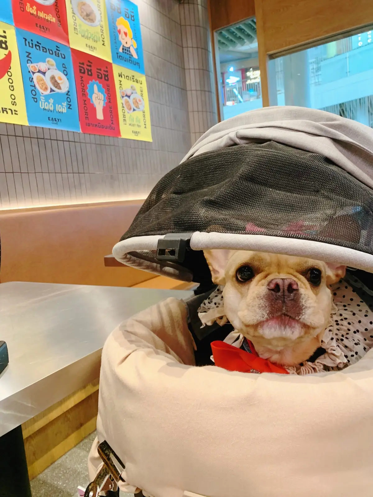 EASY! buddy - Mega Bangna other image 4