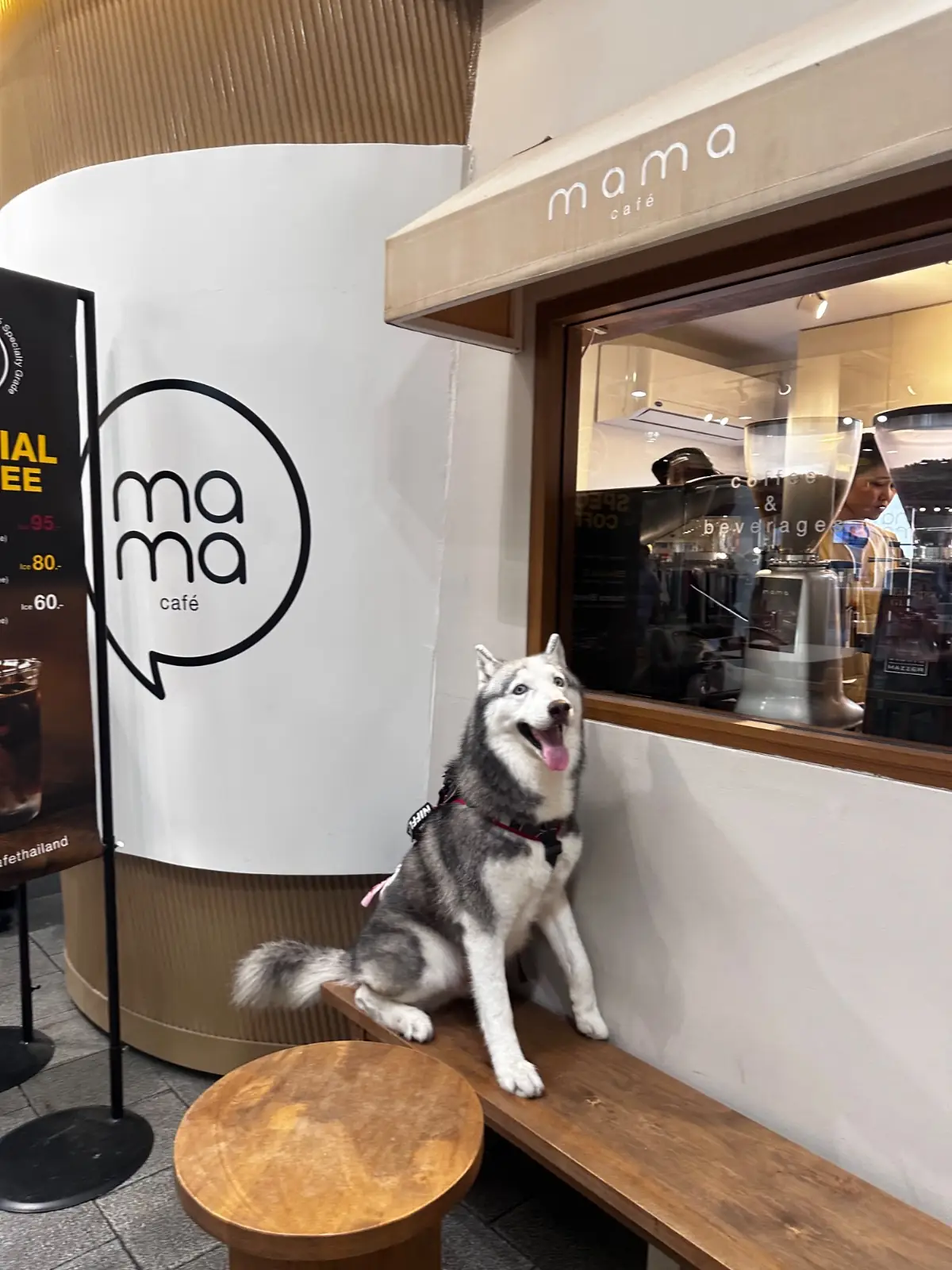 Mama Cafe - Central Eastville pets image 1