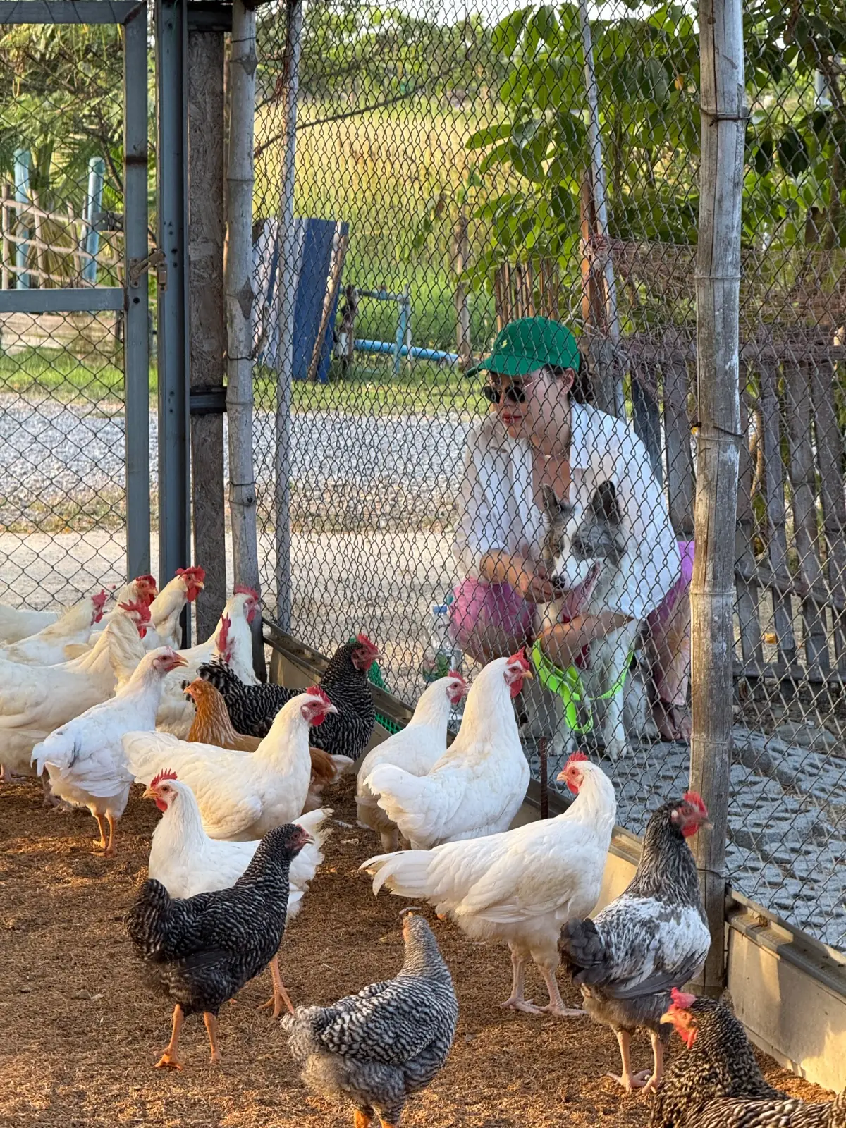 The Life Garden Cafe ambiance image 1