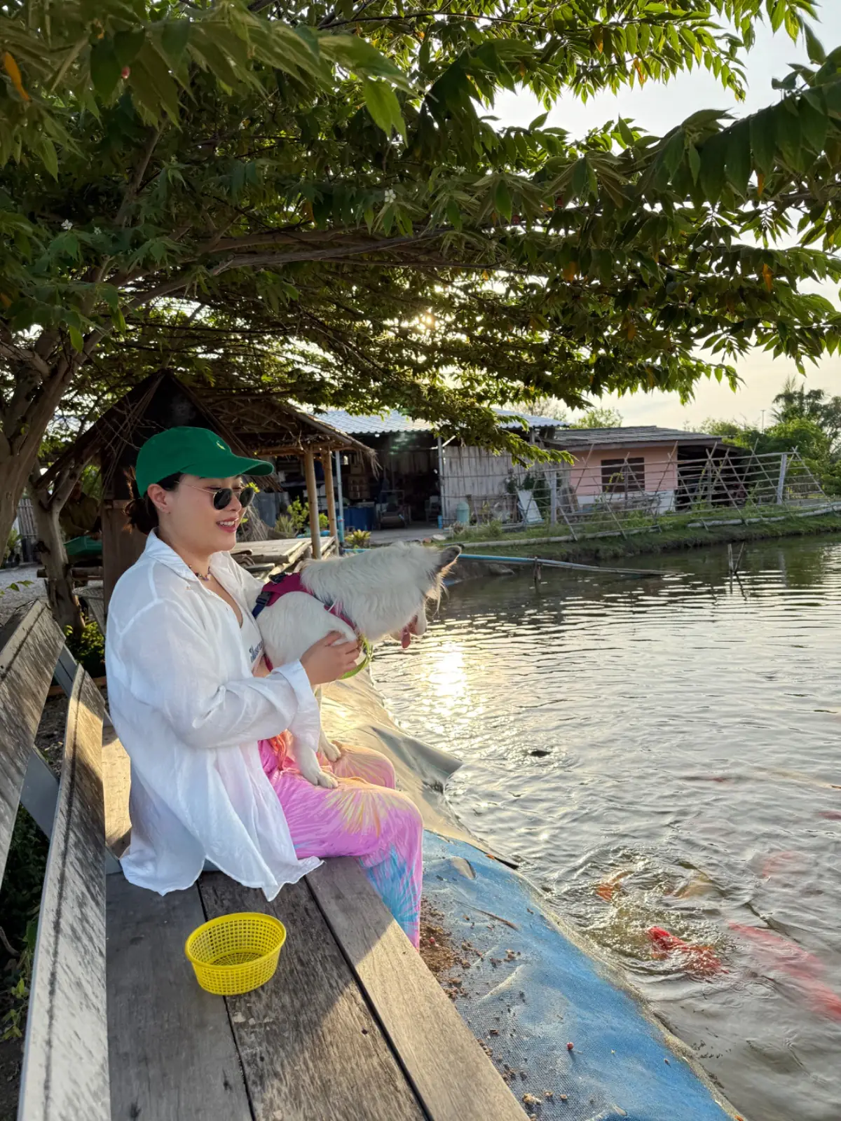 The Life Garden Cafe ambiance image 3