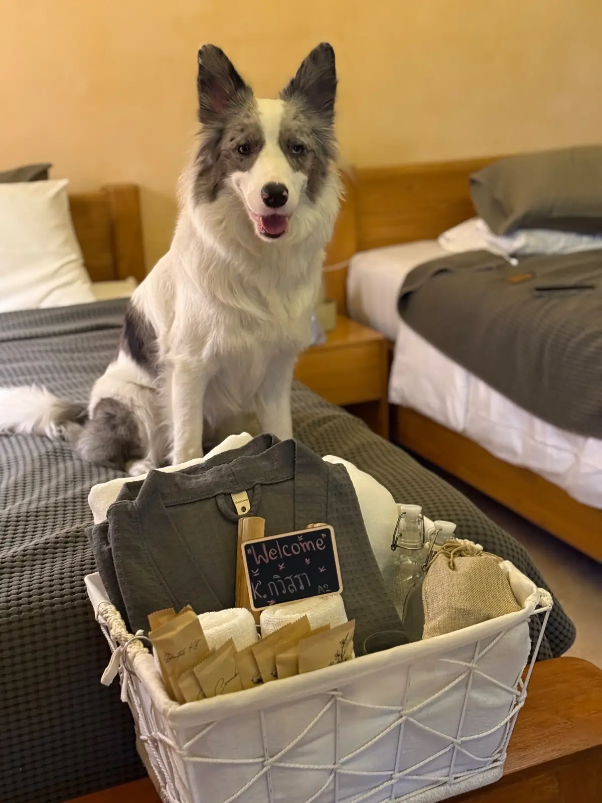 The Life Garden Cafe pets image 1