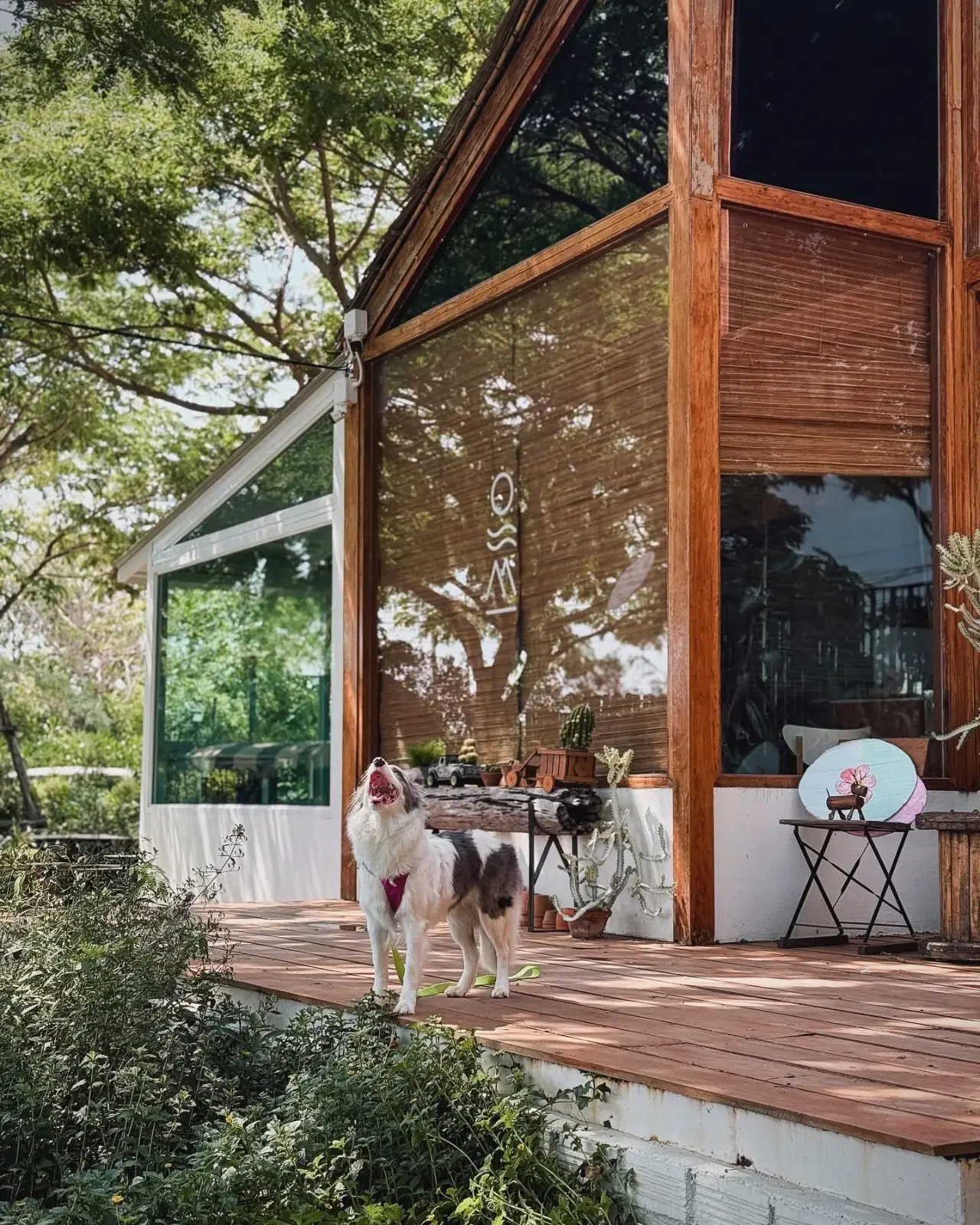 The Life Garden Cafe pets image 6