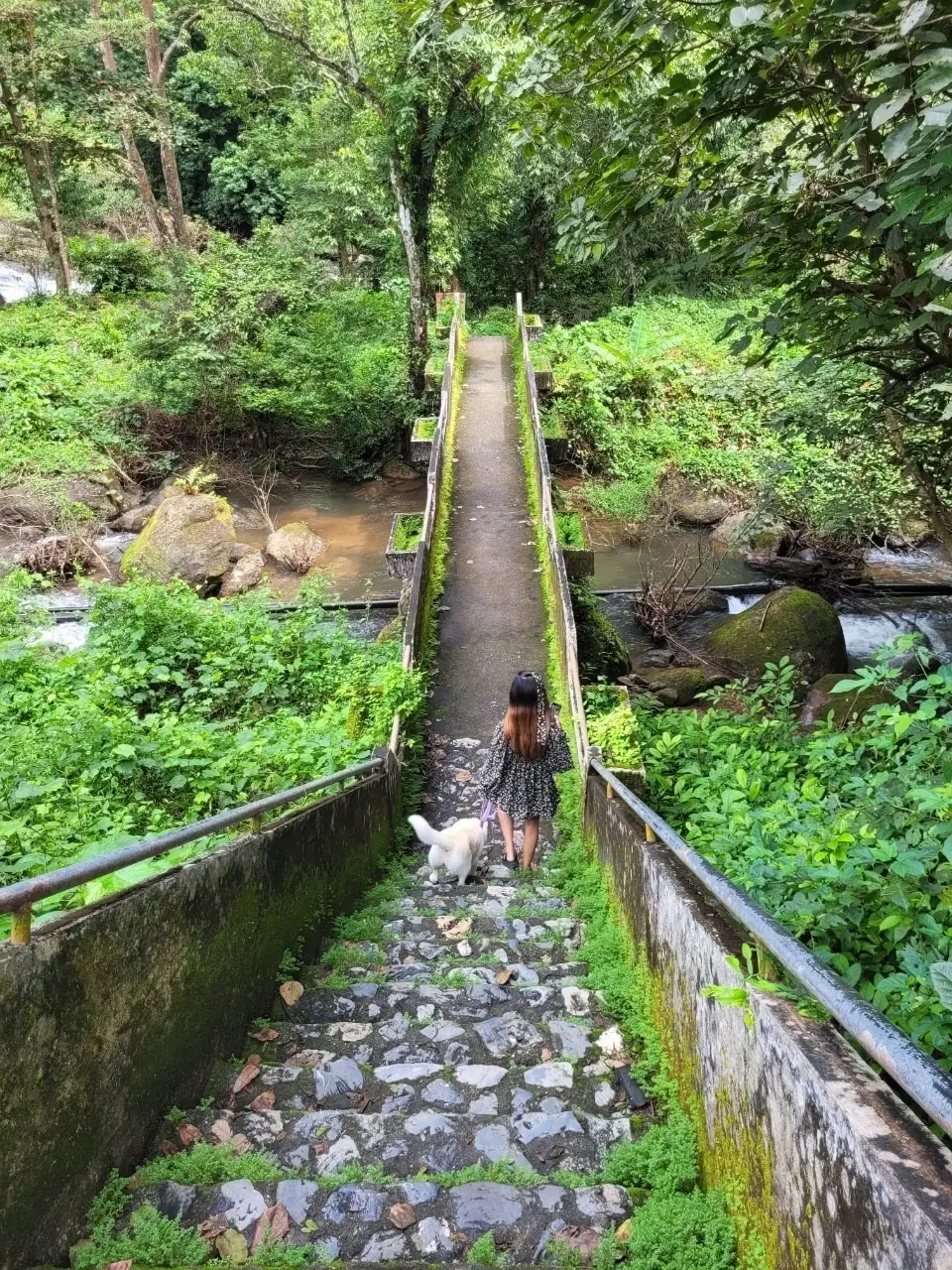 น้ำตกนางรอง ambiance image 1