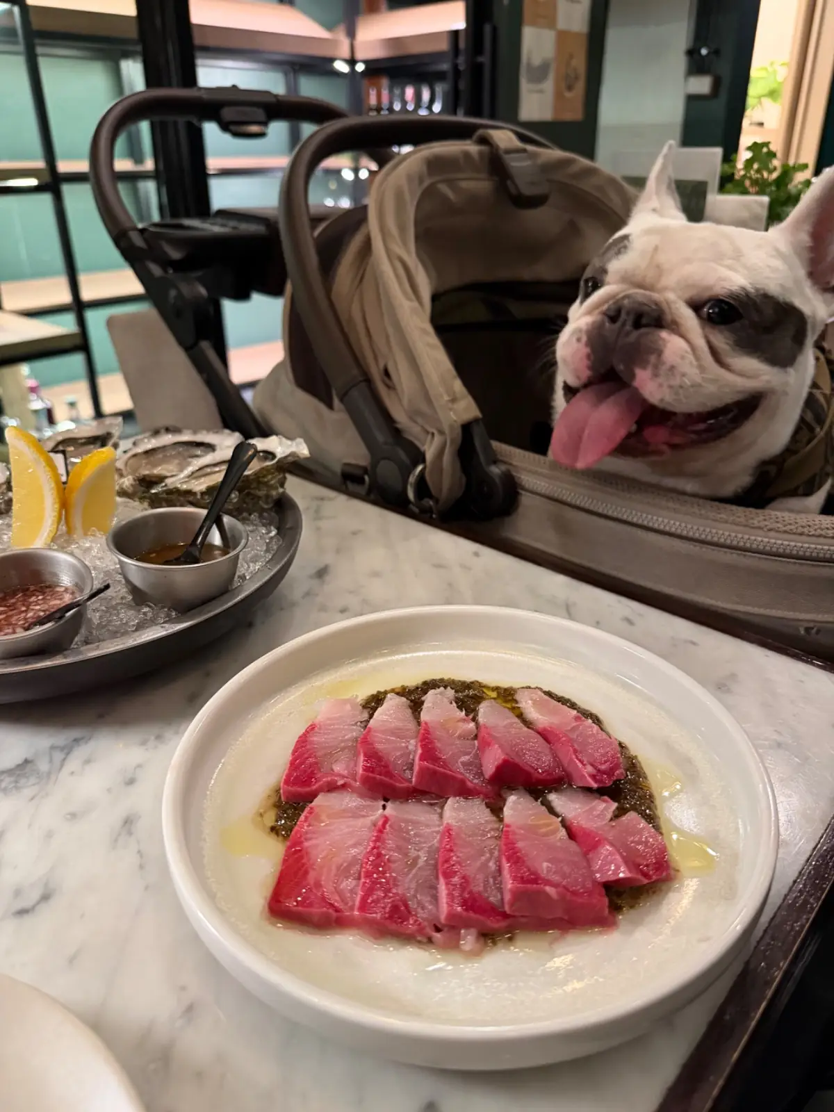 The Raw Bar - Sukhumvit 26 pets image 2