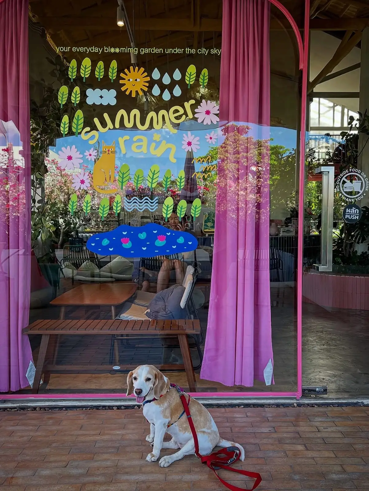 Summer Rain - Cafe & Casual Dining overall image 2