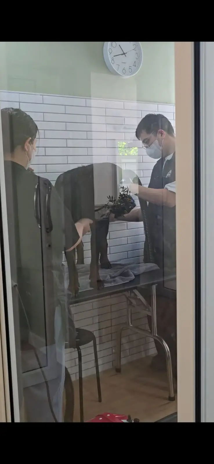 Olive Grooming Studio overall image 1