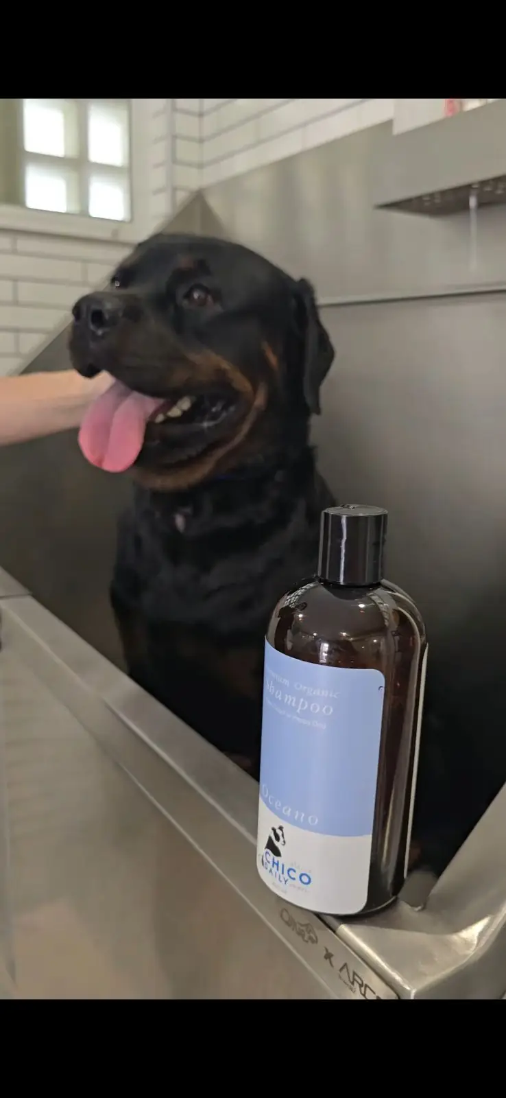 Olive Grooming Studio pets image 1