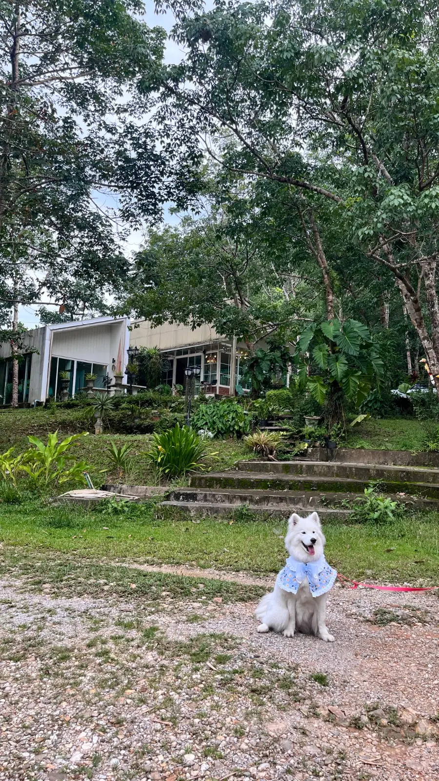 สวนลุงวร Ranongglamping pets image 5