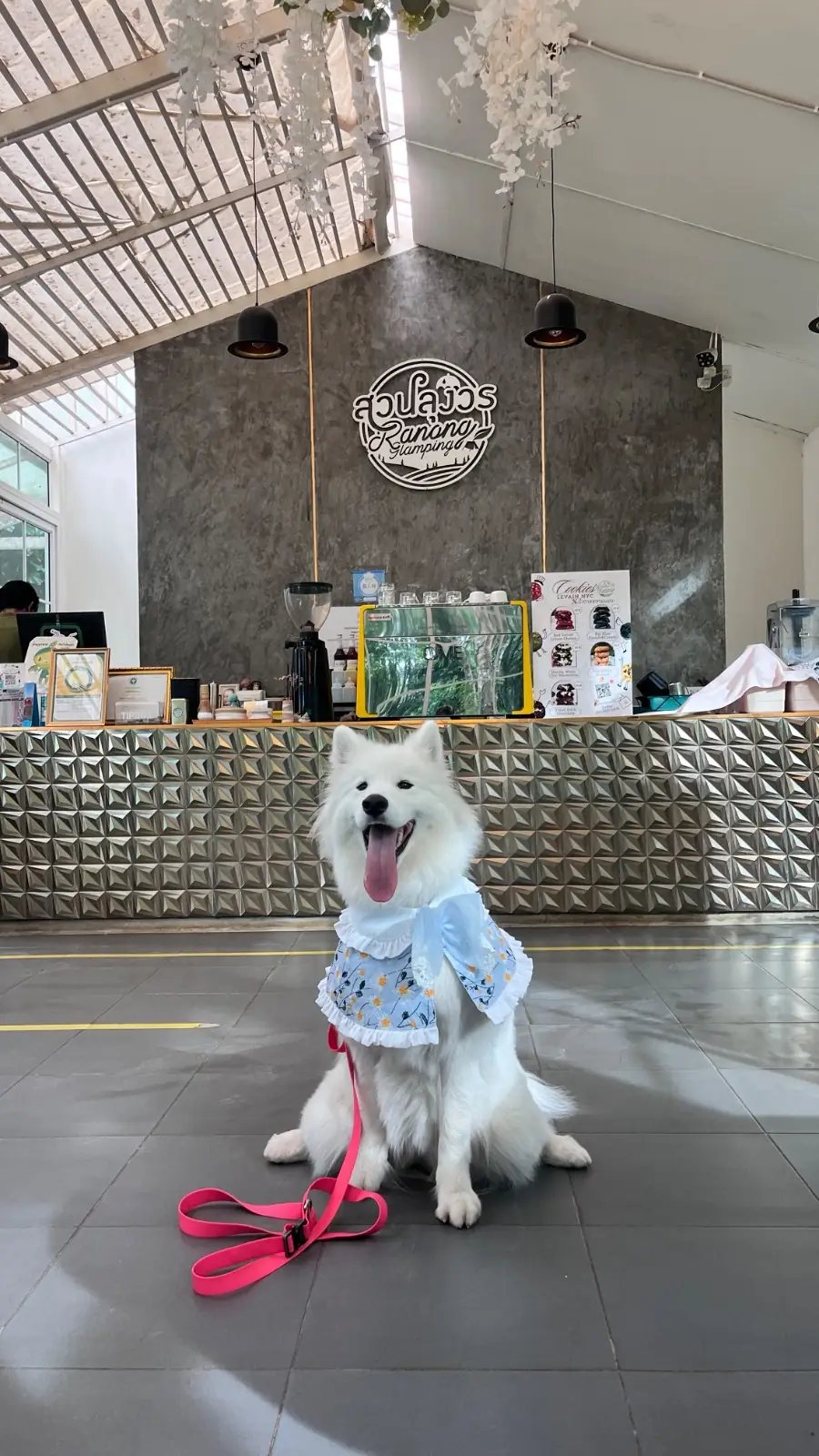 สวนลุงวร Ranongglamping pets image 4