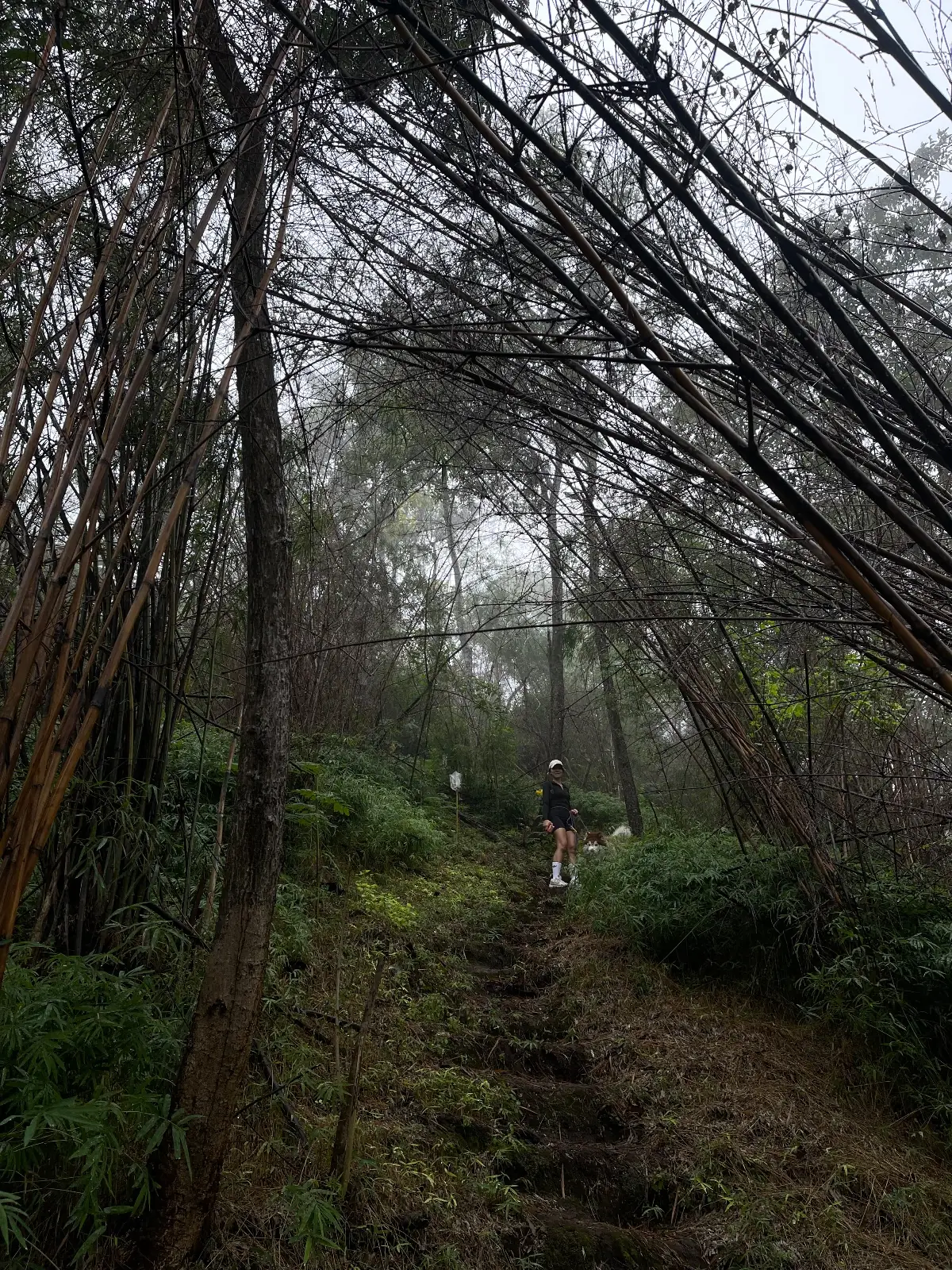 ภูซับเหล็ก overall image 2