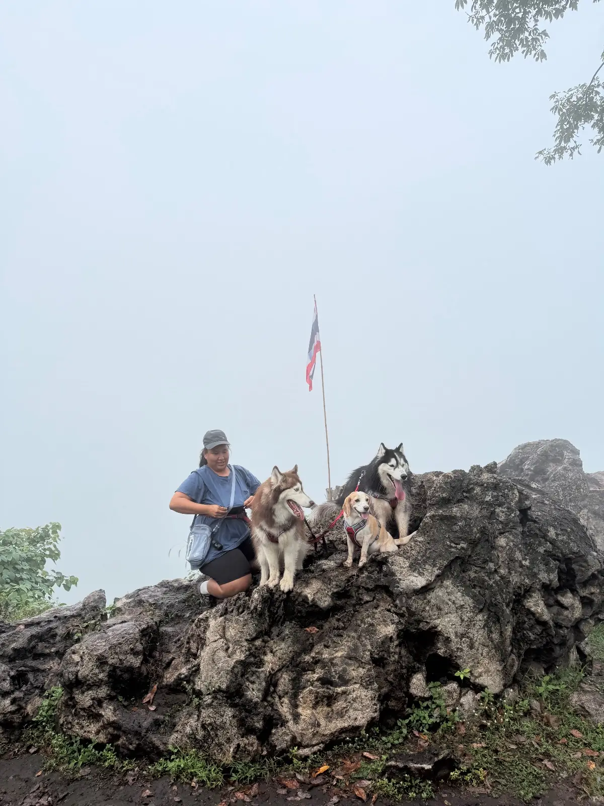 ภูซับเหล็ก pets image 5