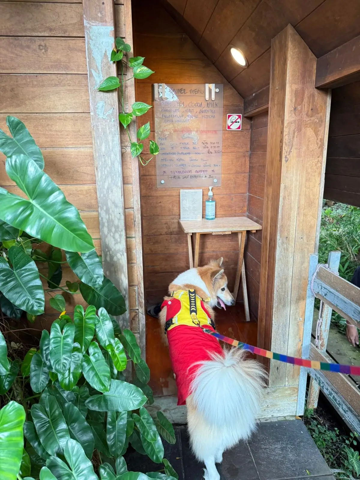 Inner บ้านกาแฟ pets image 2