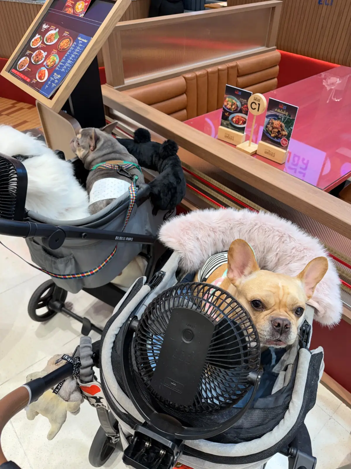 Zaab Eli (แซ่บอีลี่) – The Mall Bangkae other image 1