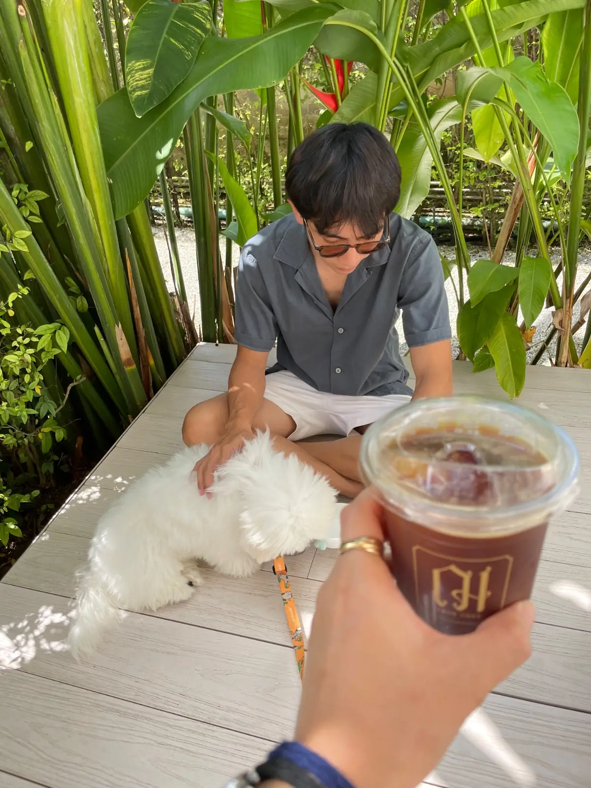 Chor Cher - ฌ เฌอ คาเฟ่ pets image 1