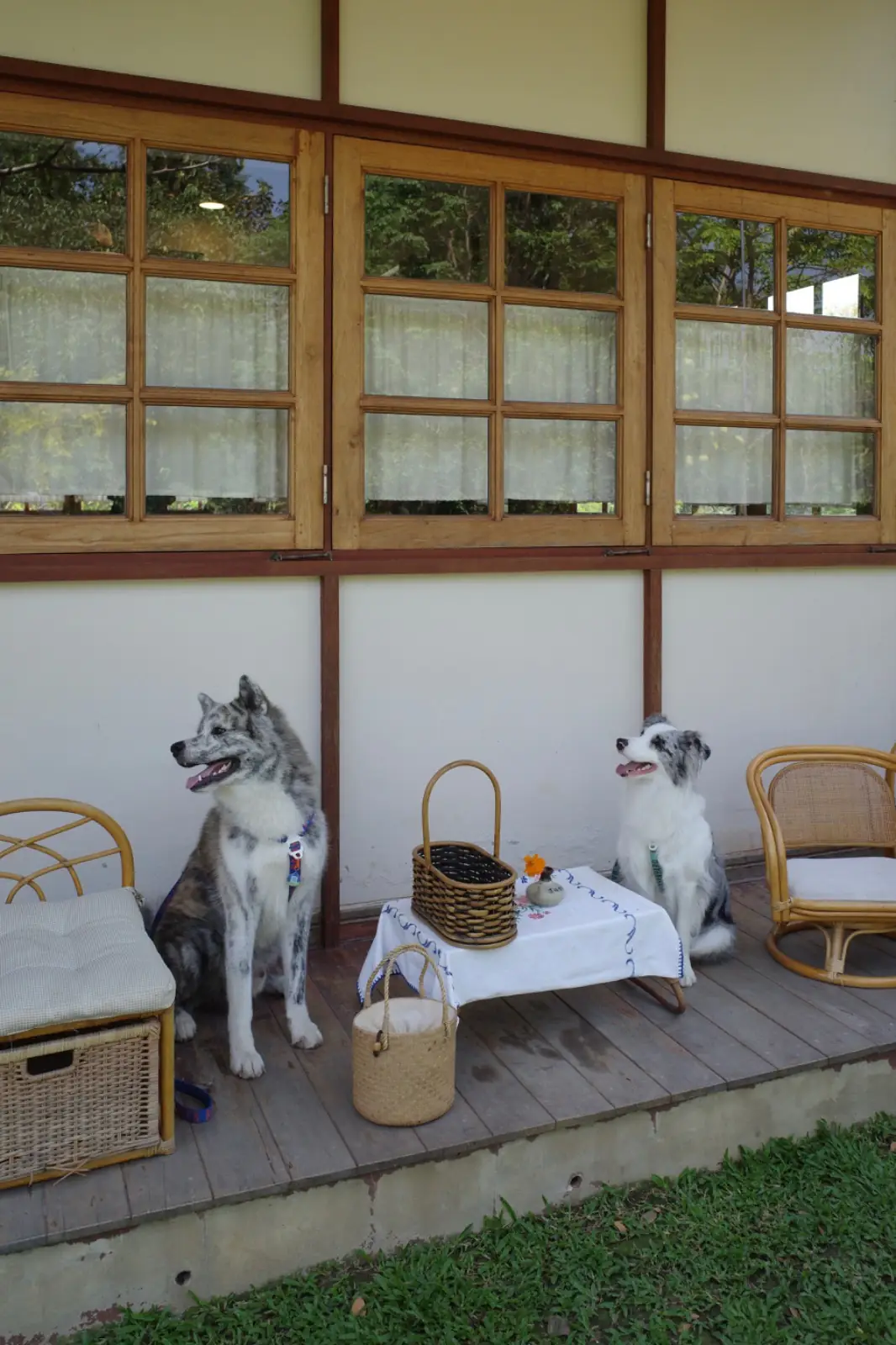 บ้านสวนกำไรสุข pets image 3