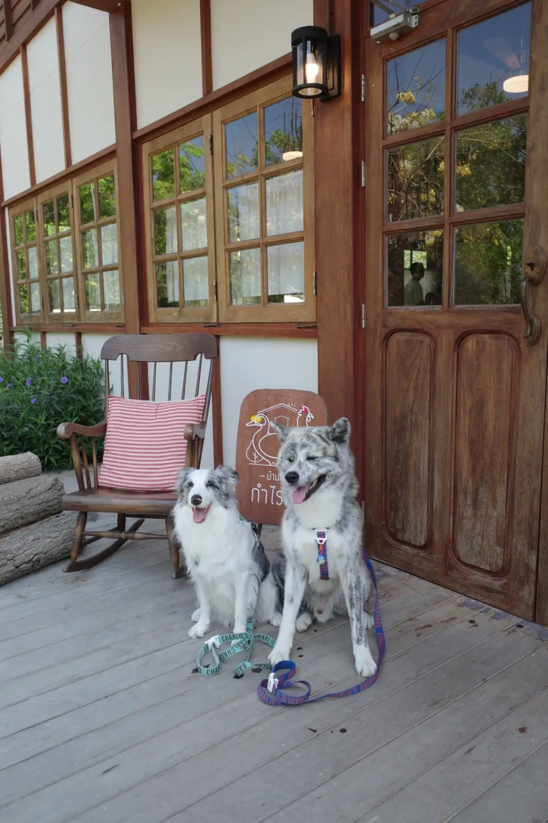 บ้านสวนกำไรสุข pets image 1