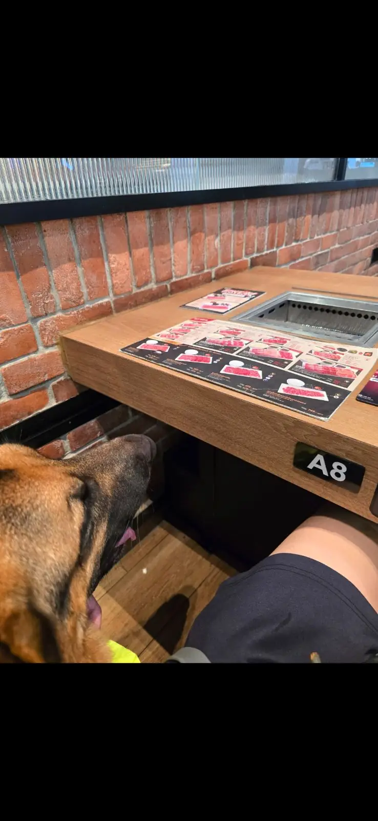 Yakiniku Like - Central Westville pets image 2