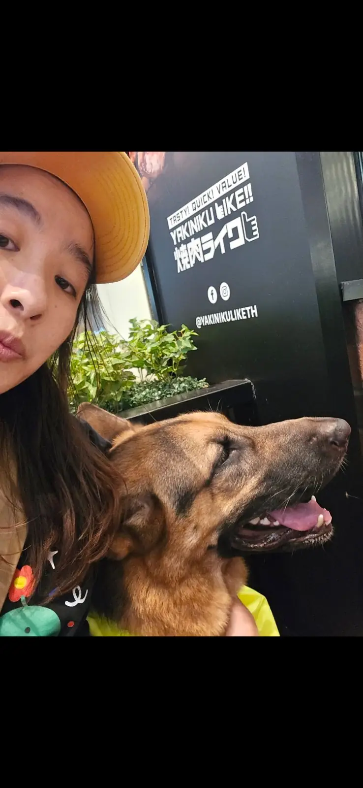 Yakiniku Like - Central Westville pets image 3