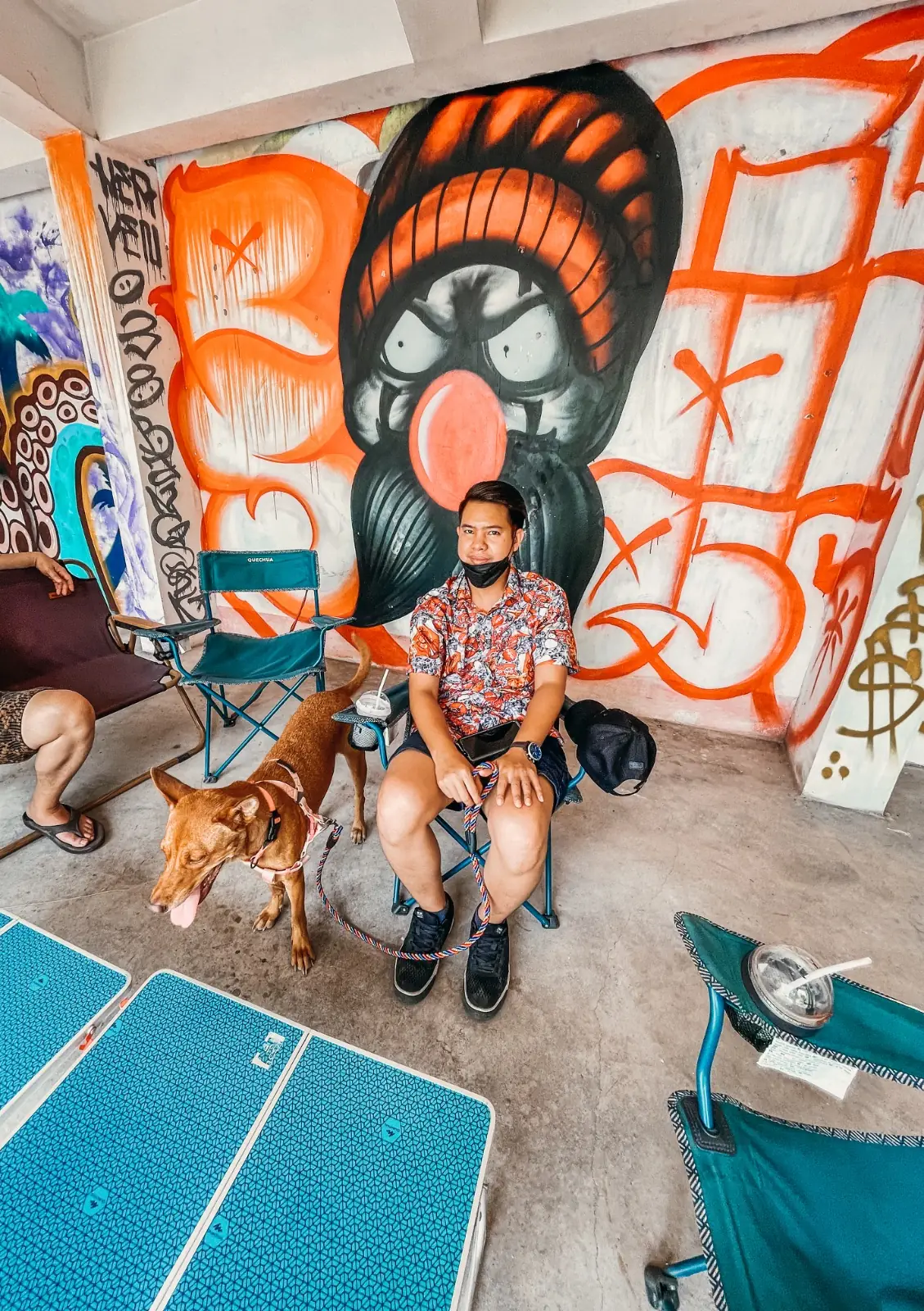 Hidden Lab pets image 2