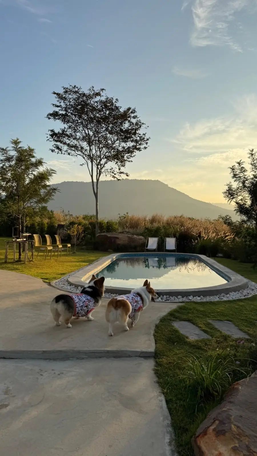 ป่าเขา - The Private House amenities image 1