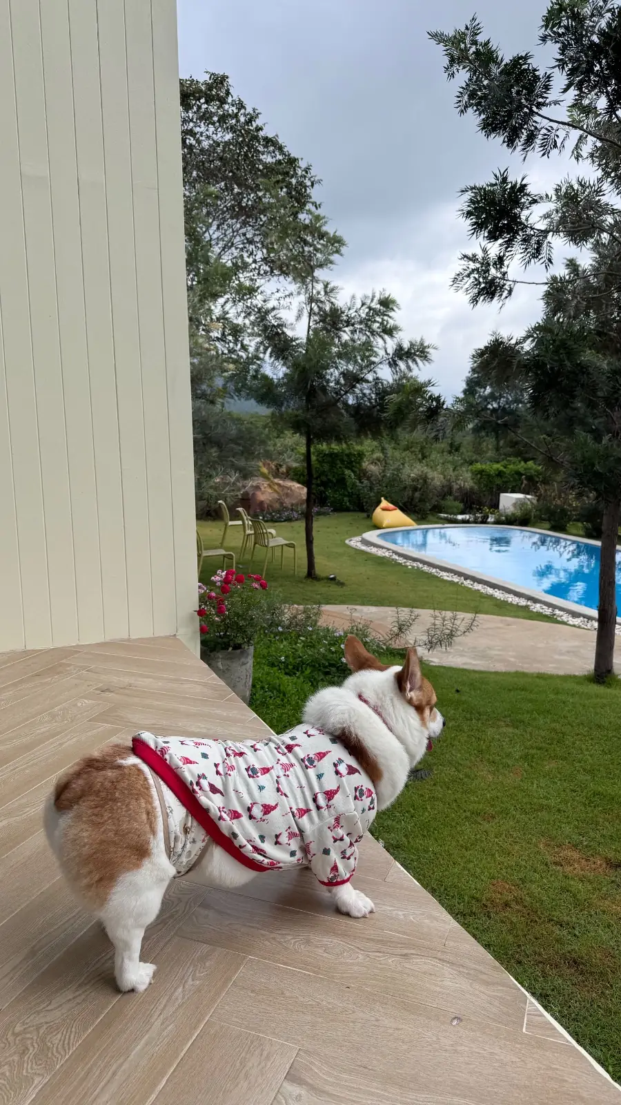 ป่าเขา - The Private House pets image 1
