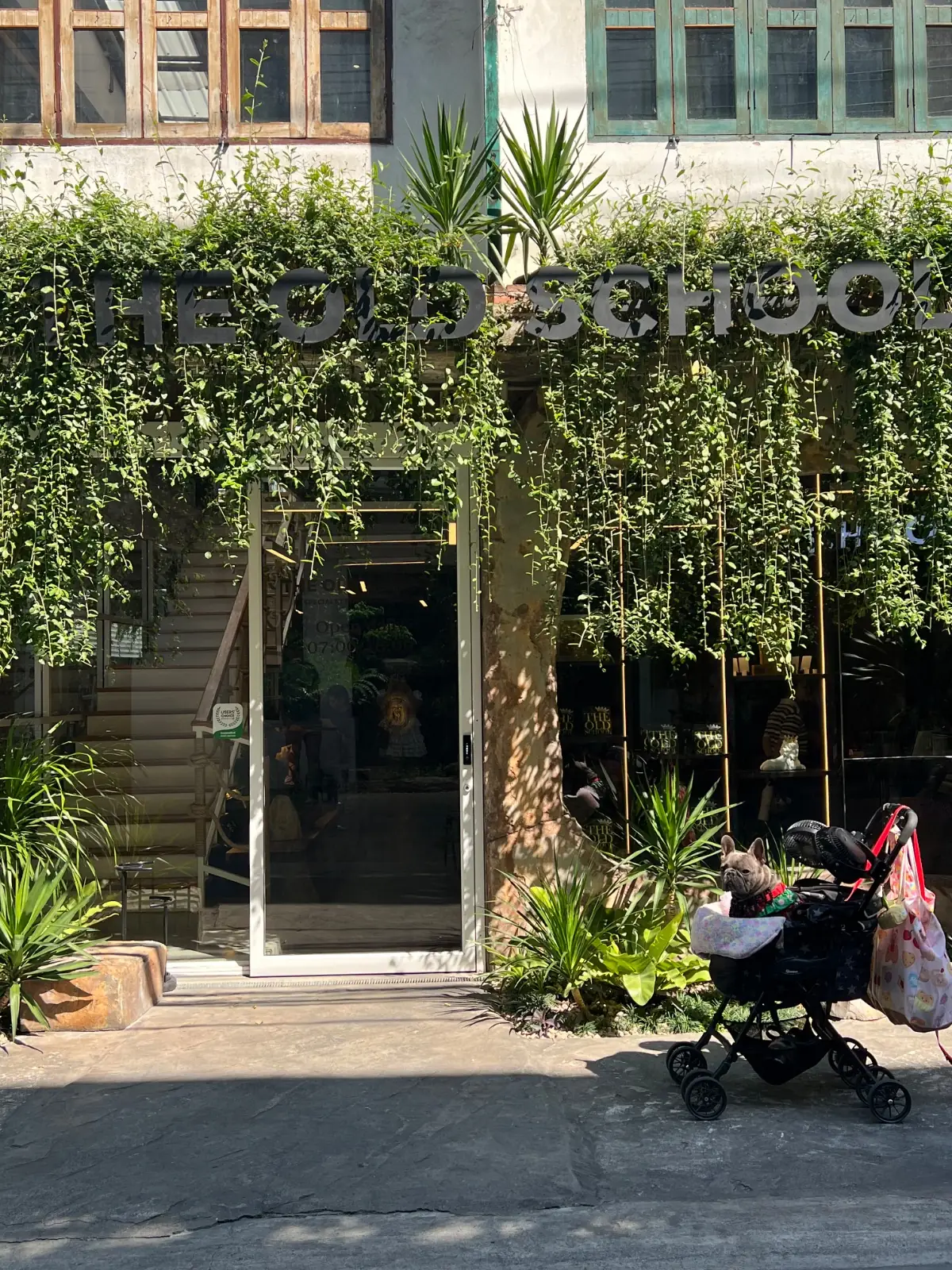 The Old School เจริญนคร pets image 1