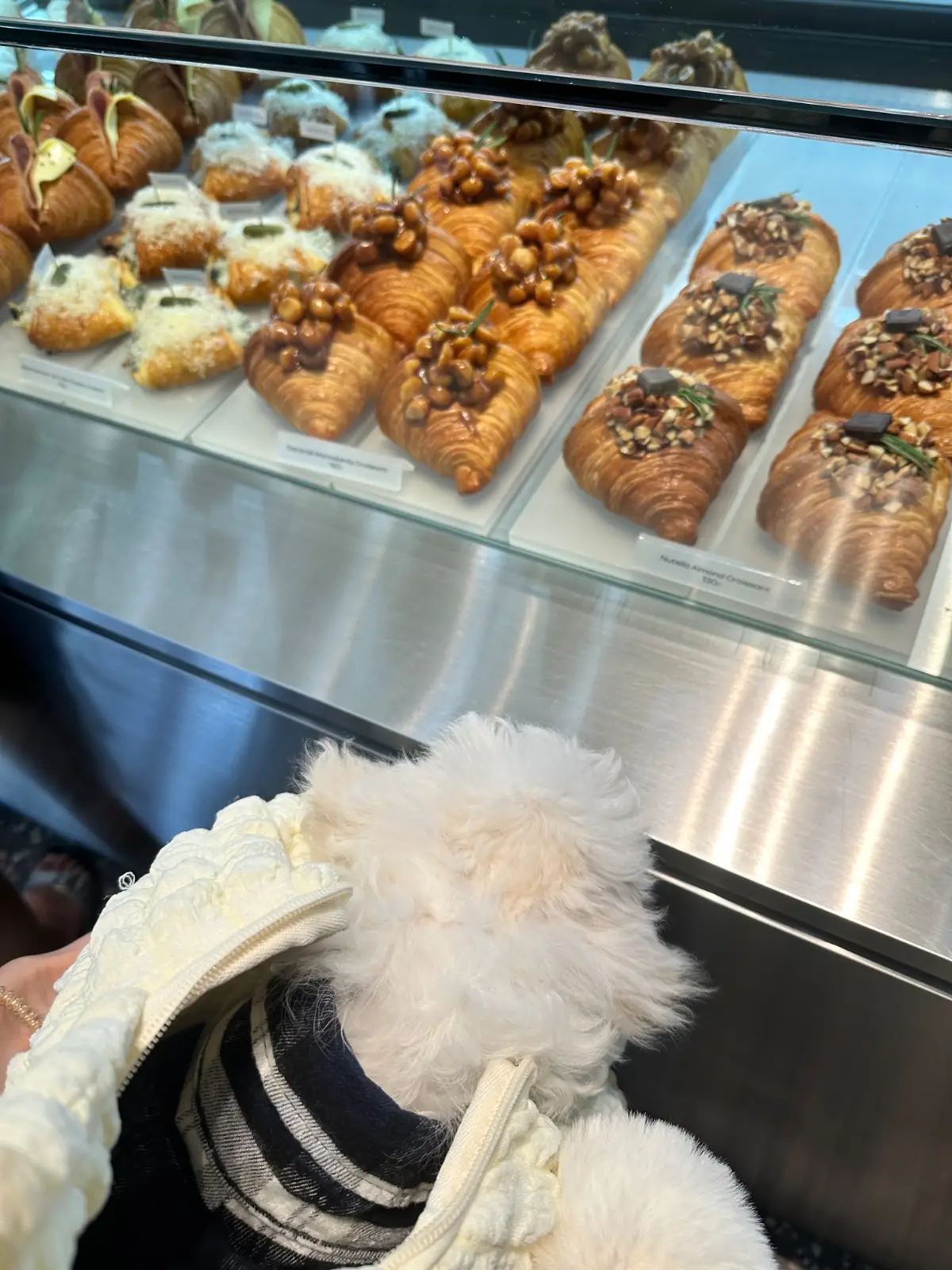 160°C Pastry and Specialty Coffee pets image 1