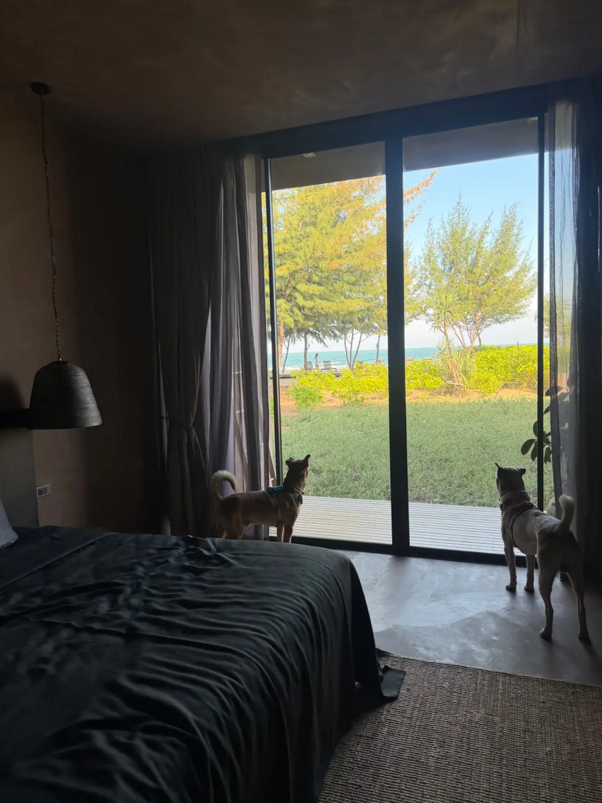 Inchantreedoolay Hotel Hua-Hin ambiance image 2