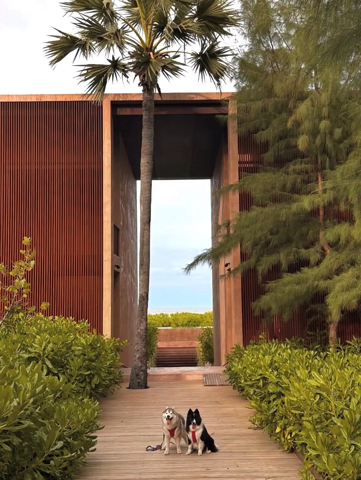 Inchantreedoolay Hotel - Hua Hin pets image 7