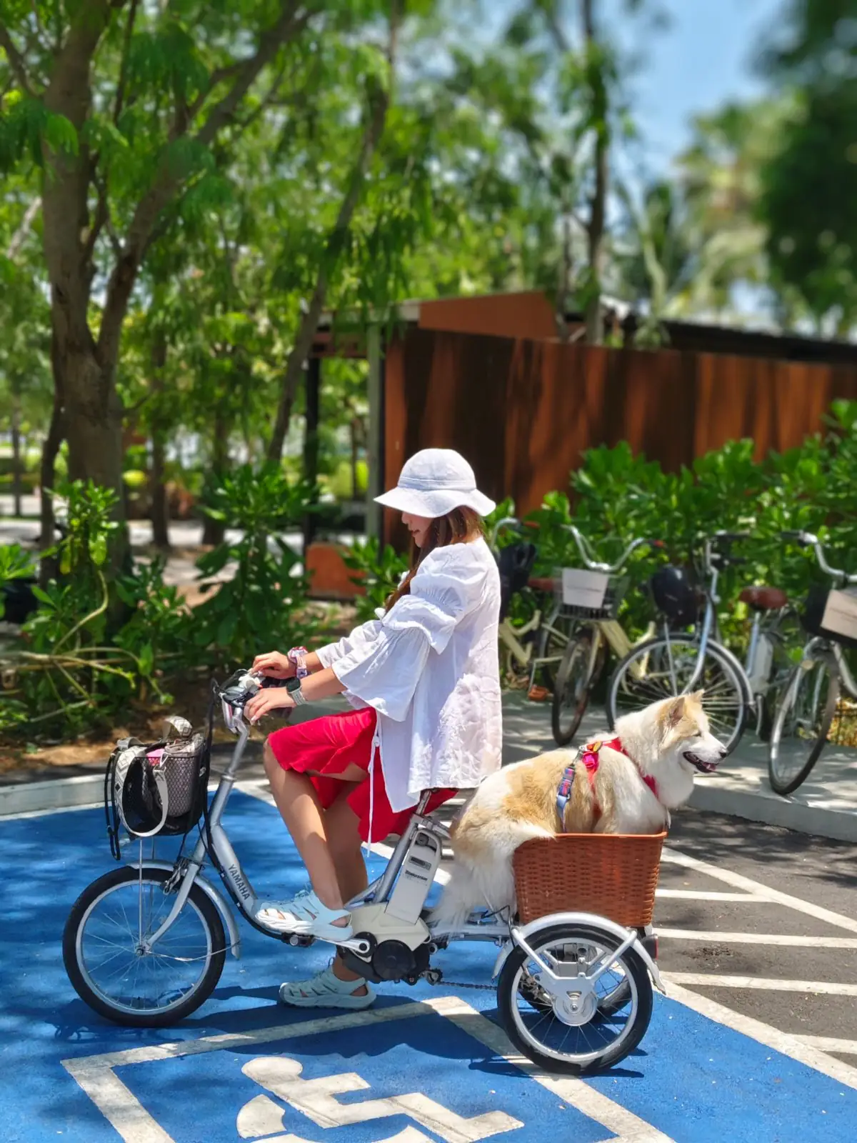 Inchantreedoolay Hotel - Hua Hin pets image 13