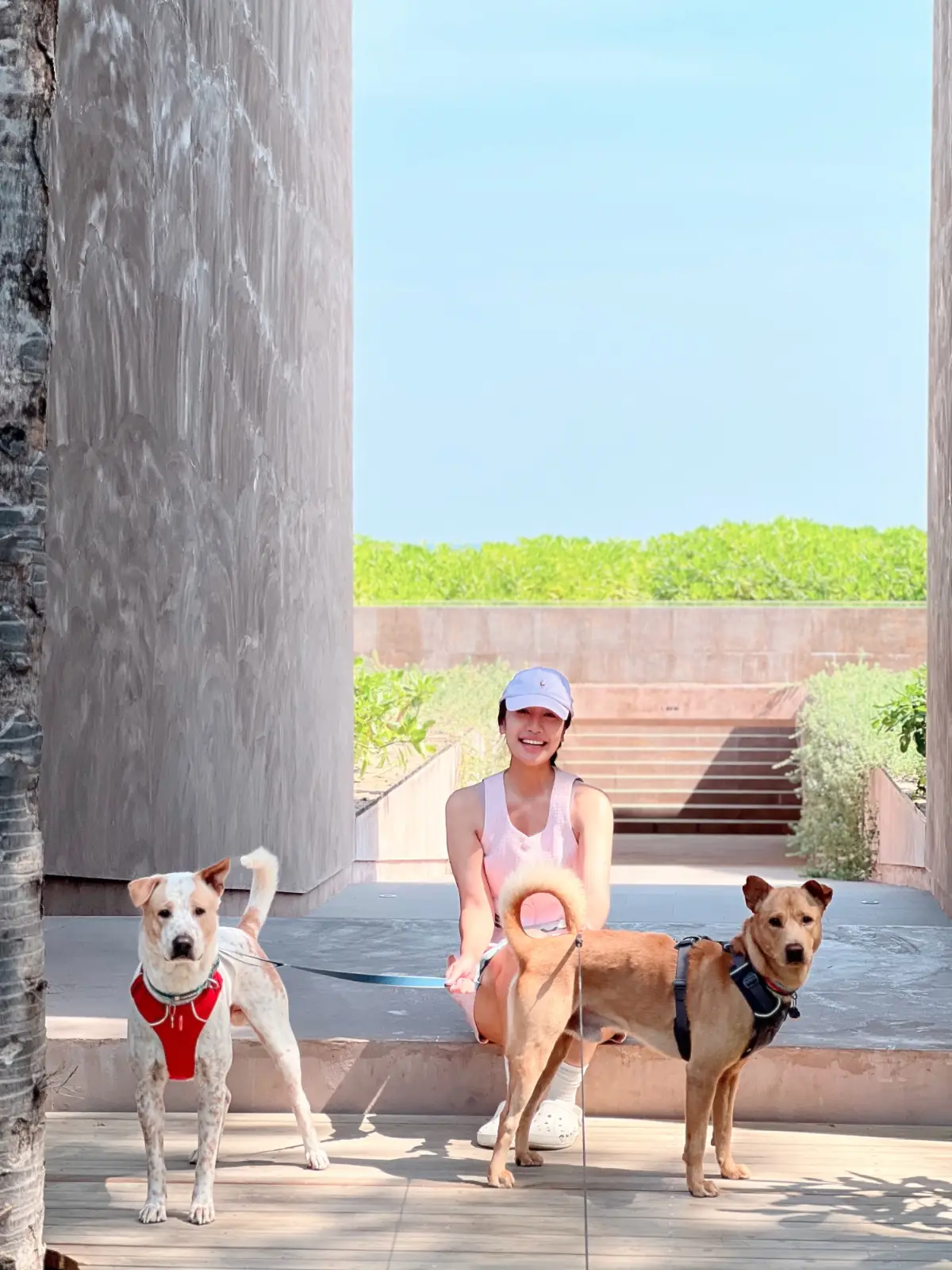 Inchantreedoolay Hotel Hua-Hin pets image 1