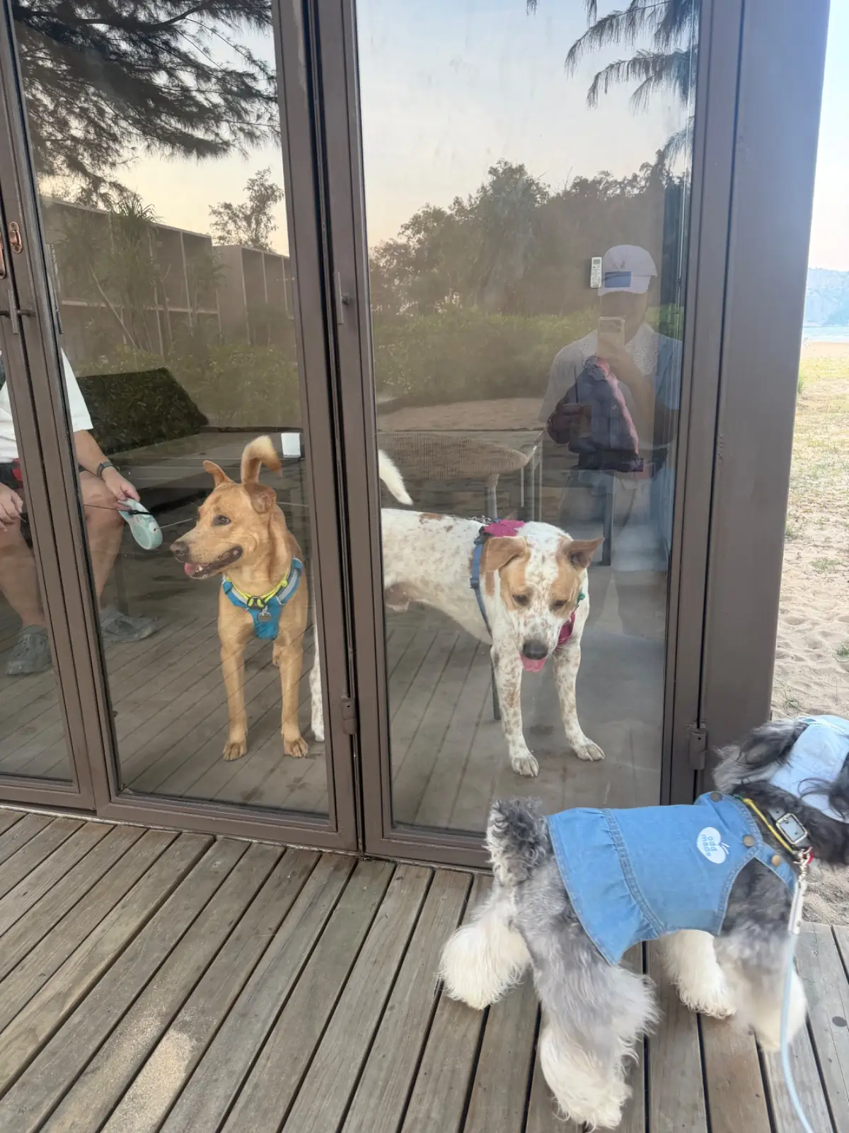 Inchantreedoolay Hotel Hua-Hin pets image 2