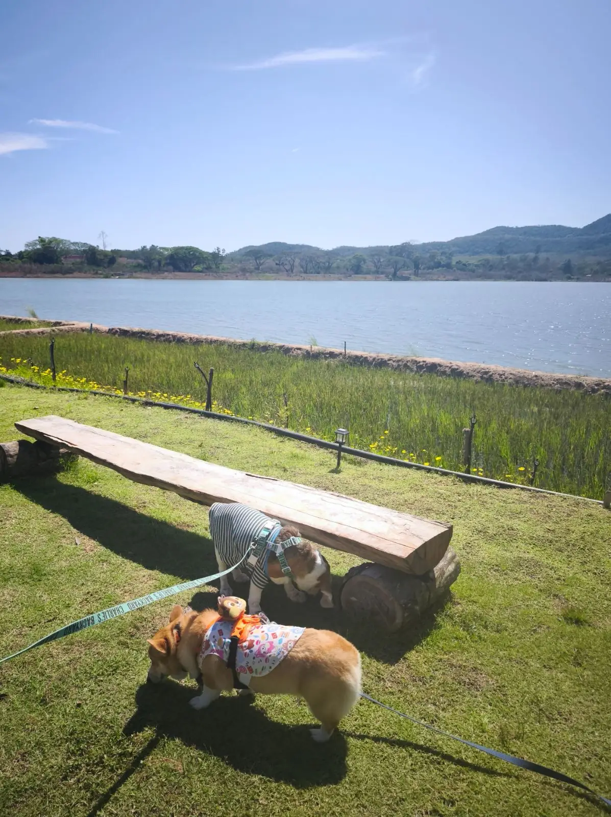 ริมอ่างคาเฟ่ other image 2