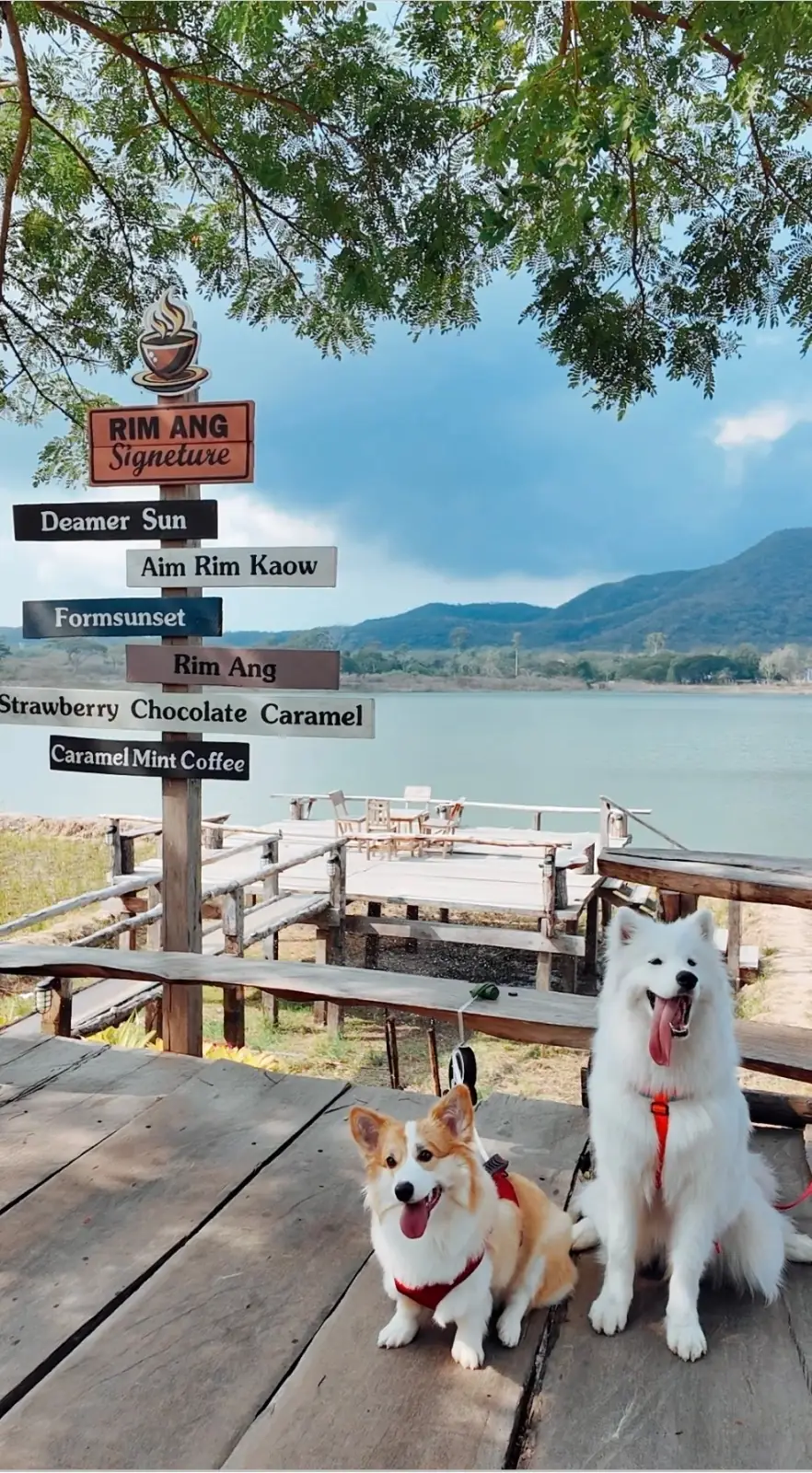 ริมอ่างคาเฟ่ ambiance image 2