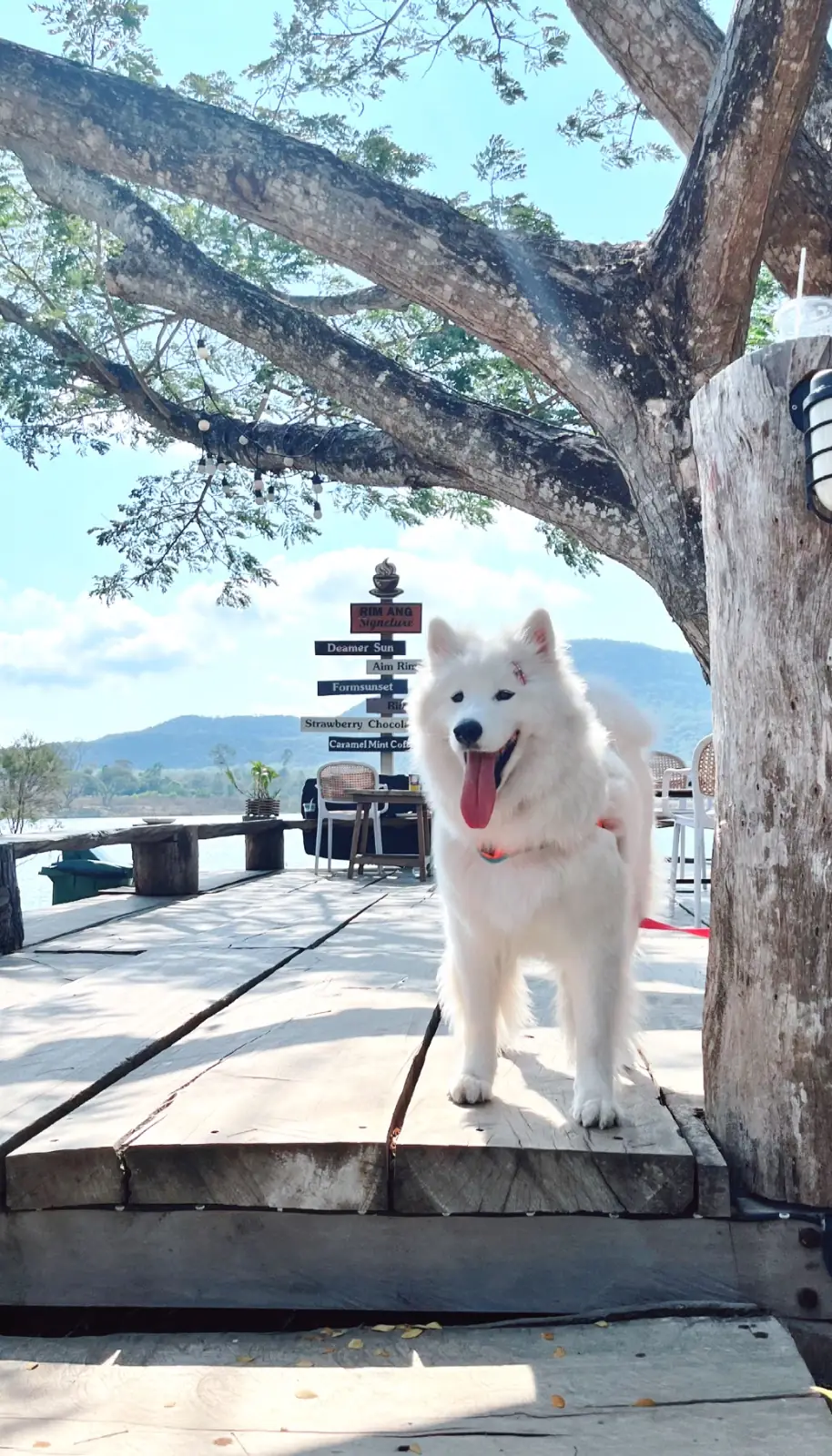 ริมอ่างคาเฟ่ hero image 2