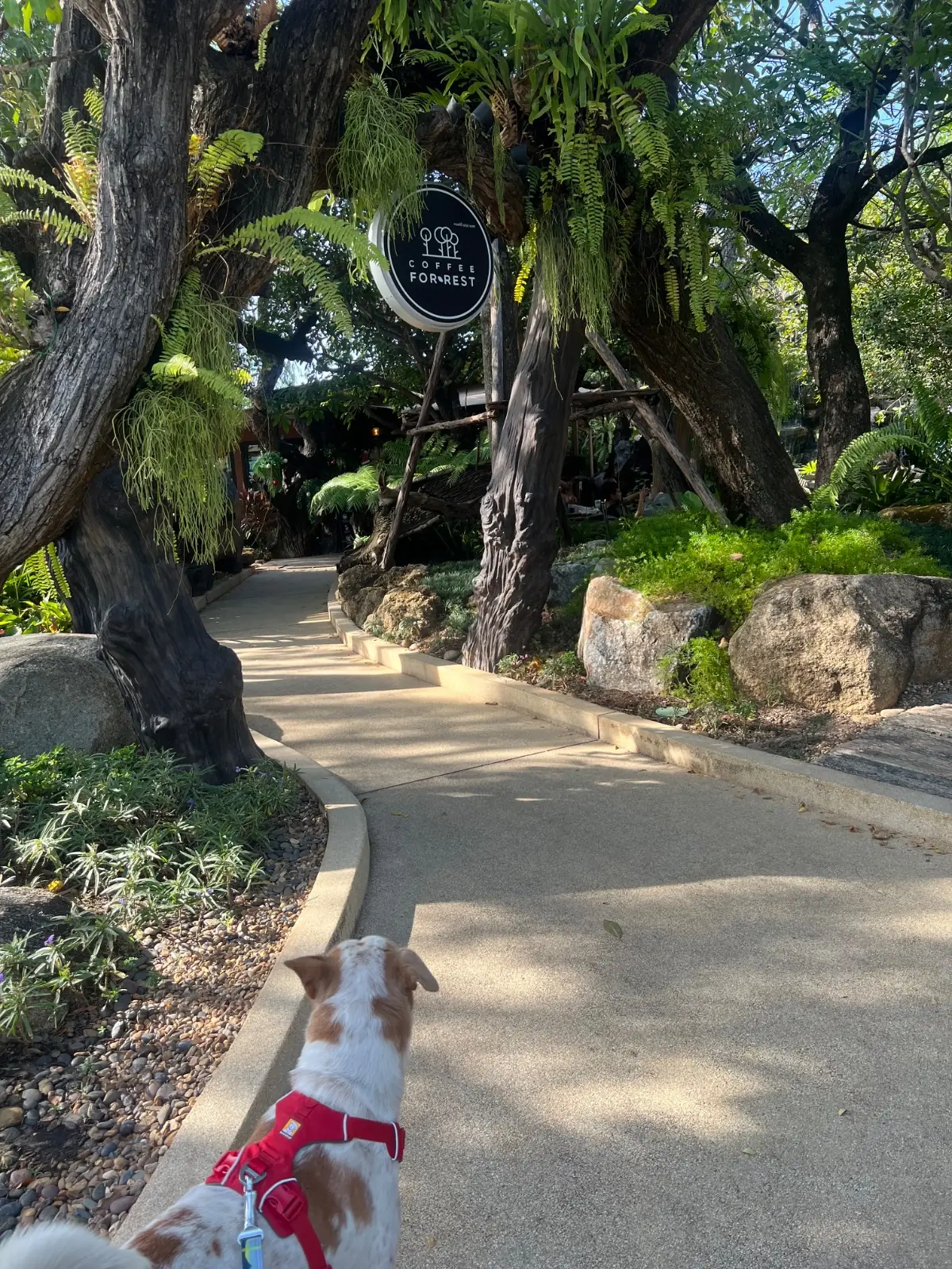 Coffee For Rest - Chachoengsao ambiance image 3
