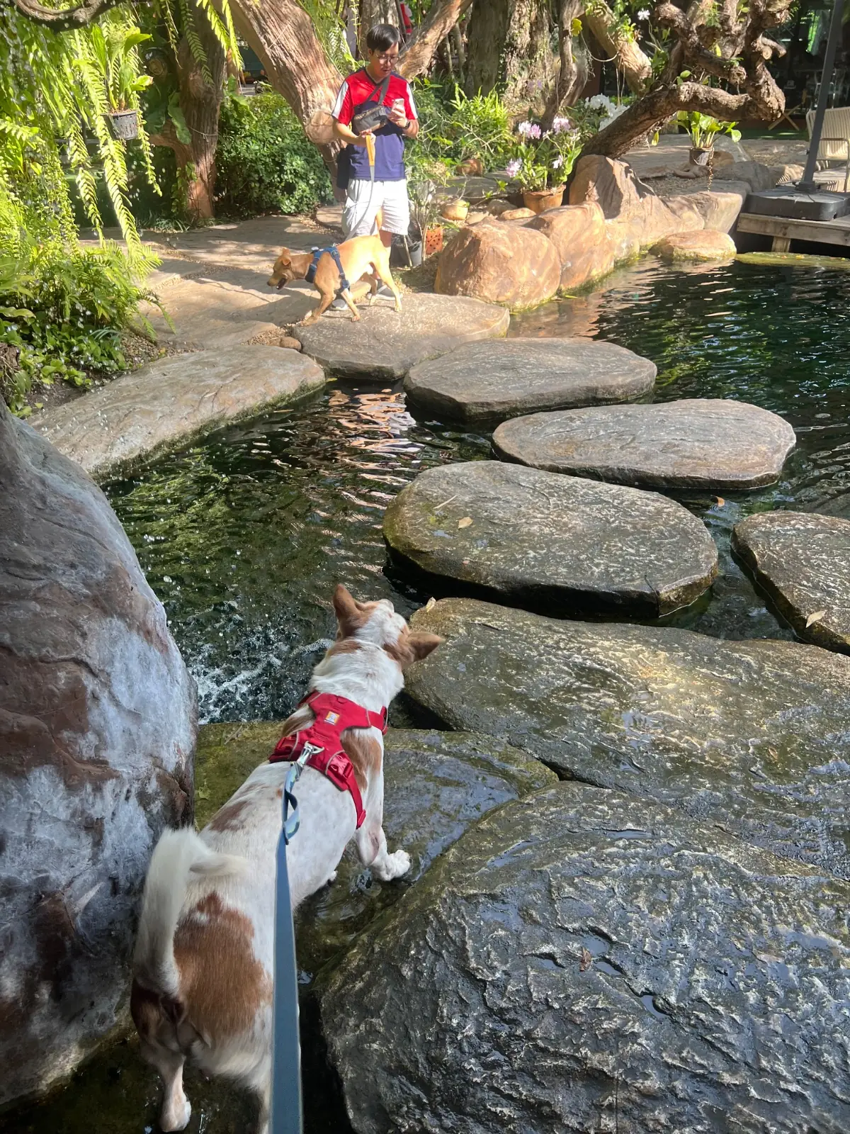 Coffee For Rest - Chachoengsao ambiance image 2