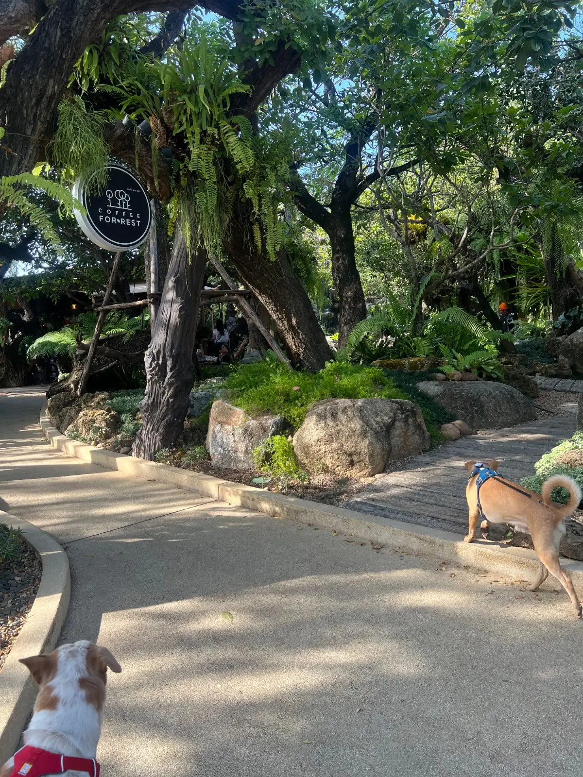 Coffee For Rest - Chachoengsao ambiance image 1