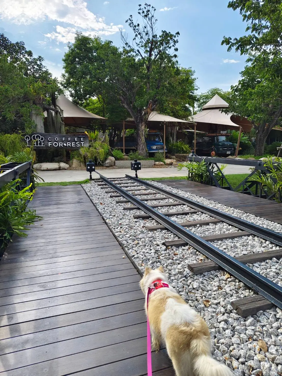 Coffee For Rest - Chachoengsao pets image 8