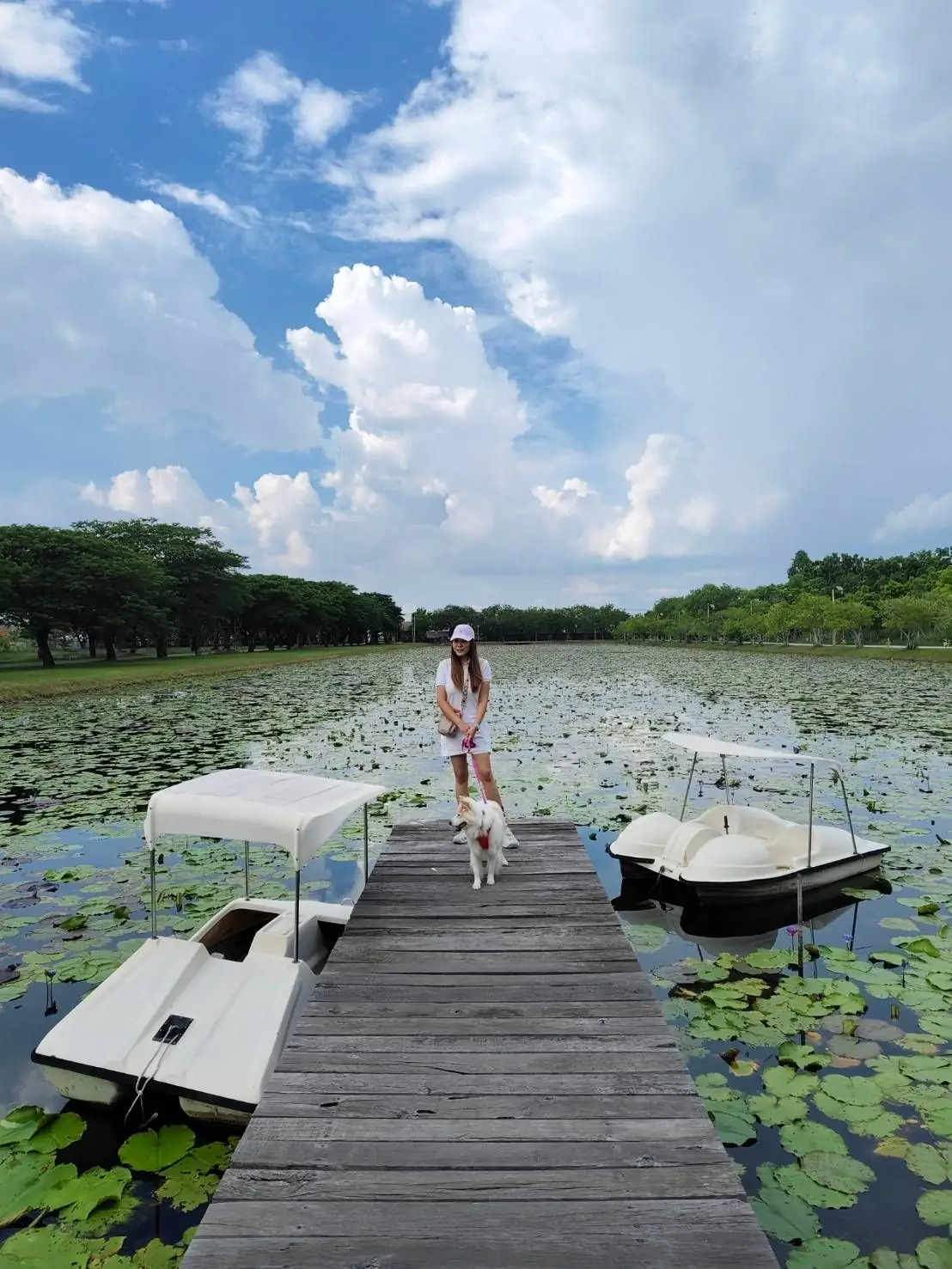 Coffee For Rest - Chachoengsao pets image 1